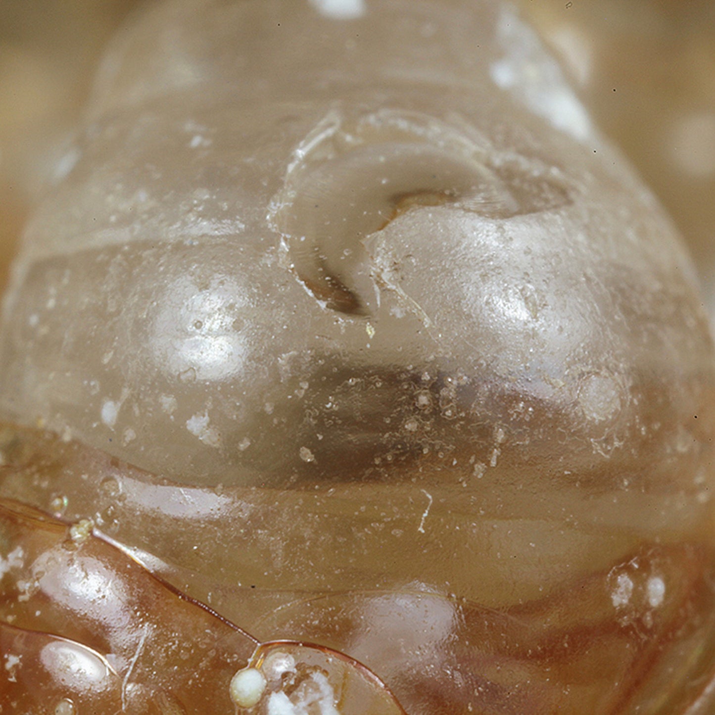 Opal
(var: Opal-AN) / (var: Hyalite Opal)
(“Blood Vessel Opal”)