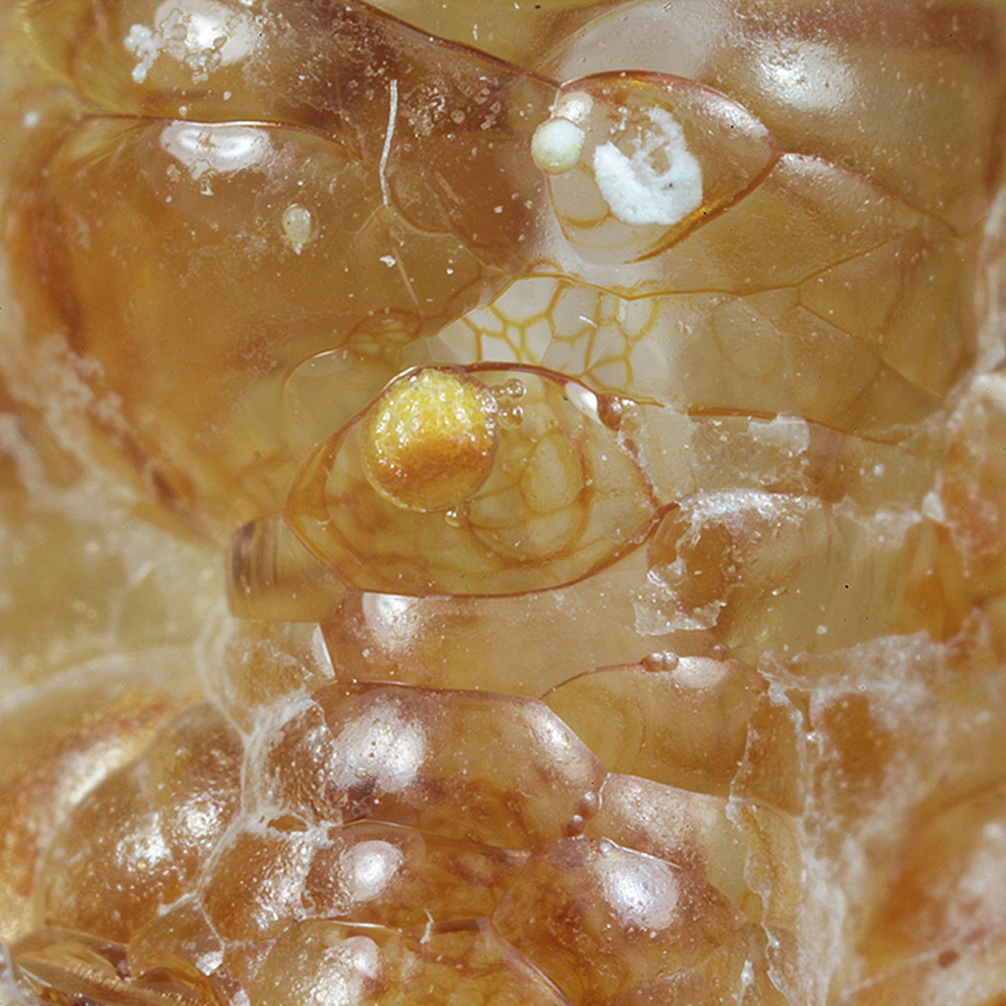 Opal
(var: Opal-AN) / (var: Hyalite Opal)
(“Blood Vessel Opal”)