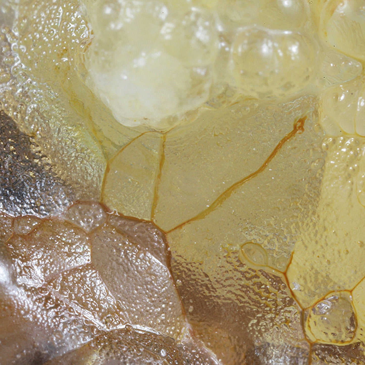 Opal
(var: Opal-AN) / (var: Hyalite Opal)
(“Blood Vessel Opal”)