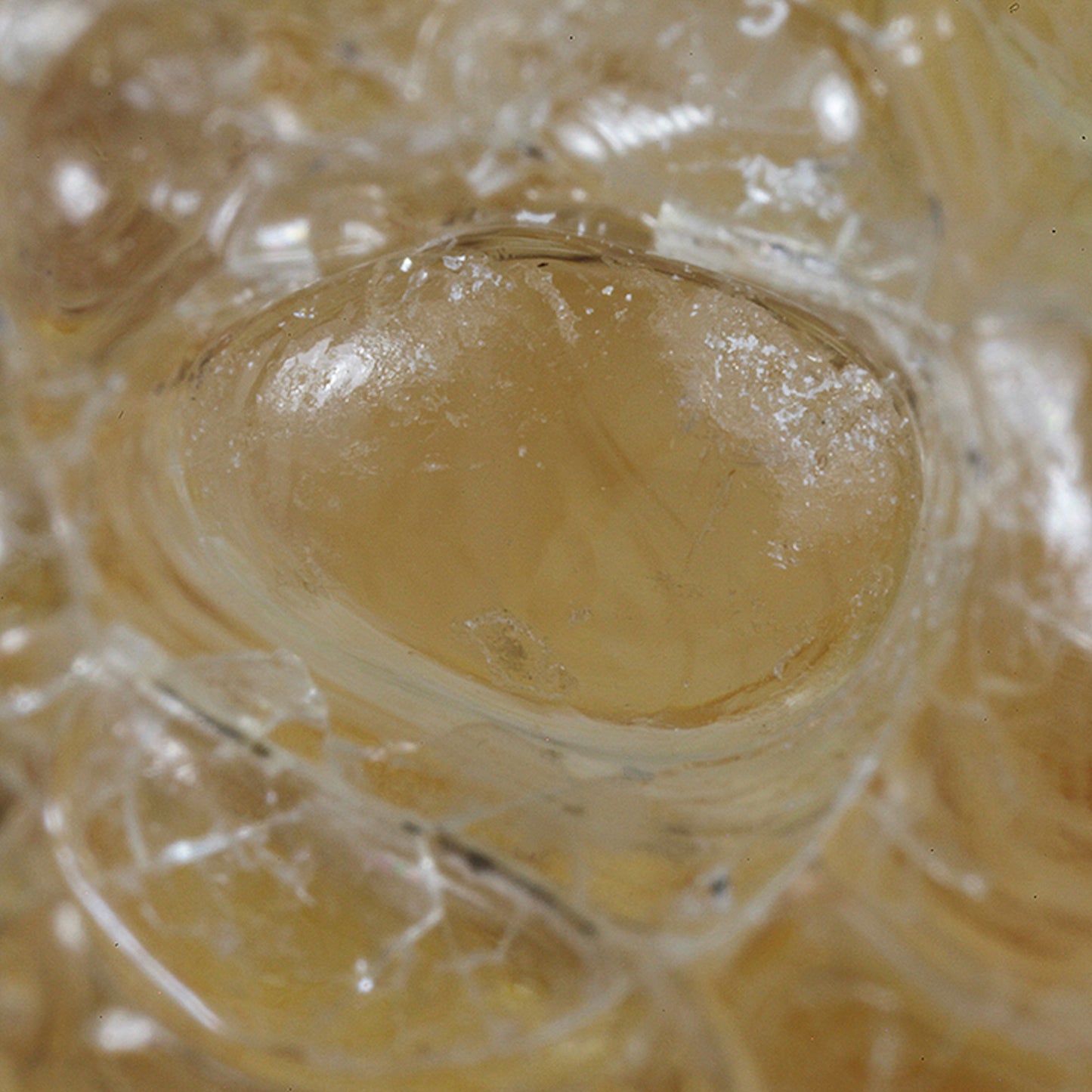 Opal
(var: Opal-AN) / (var: Hyalite Opal)