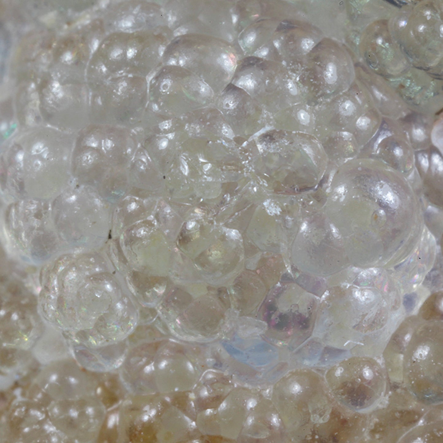 Opal
(var: Opal-AN) / (var: Hyalite Opal)