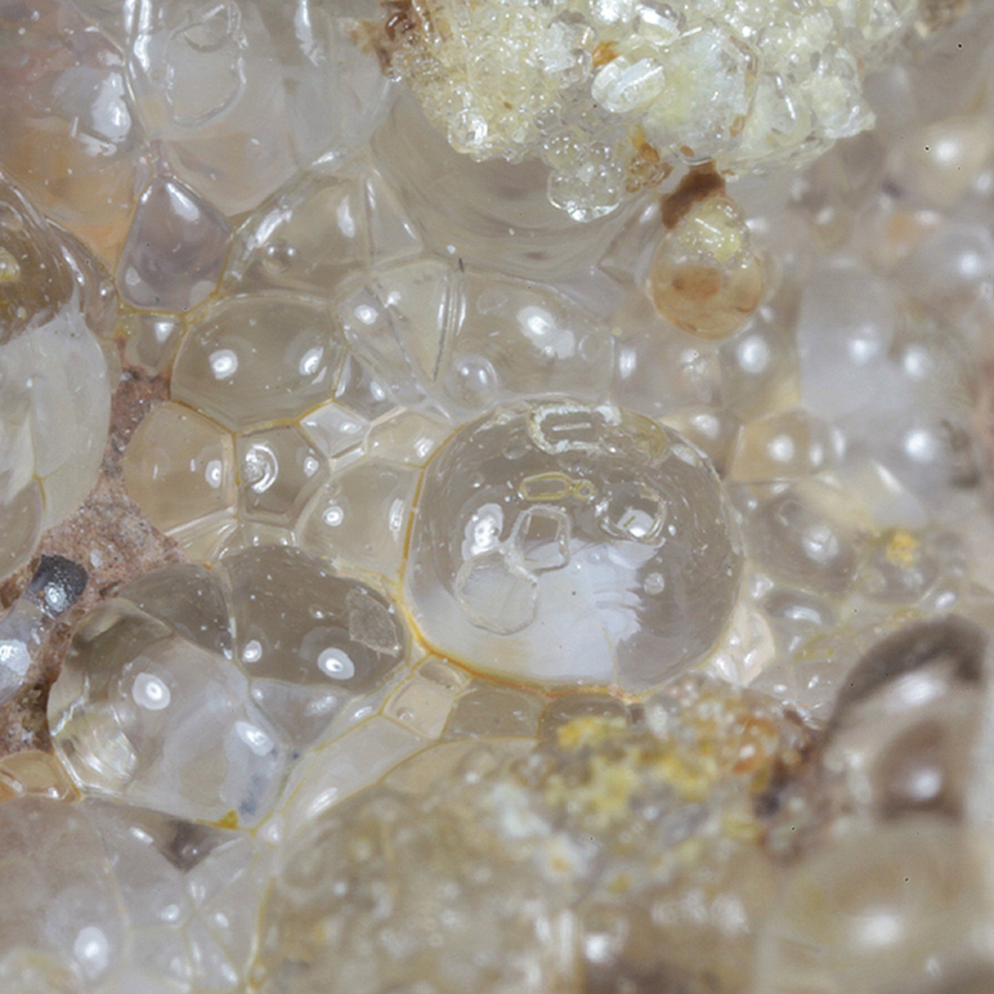 Opal
(var: Opal-AN) / (var: Hyalite Opal)
