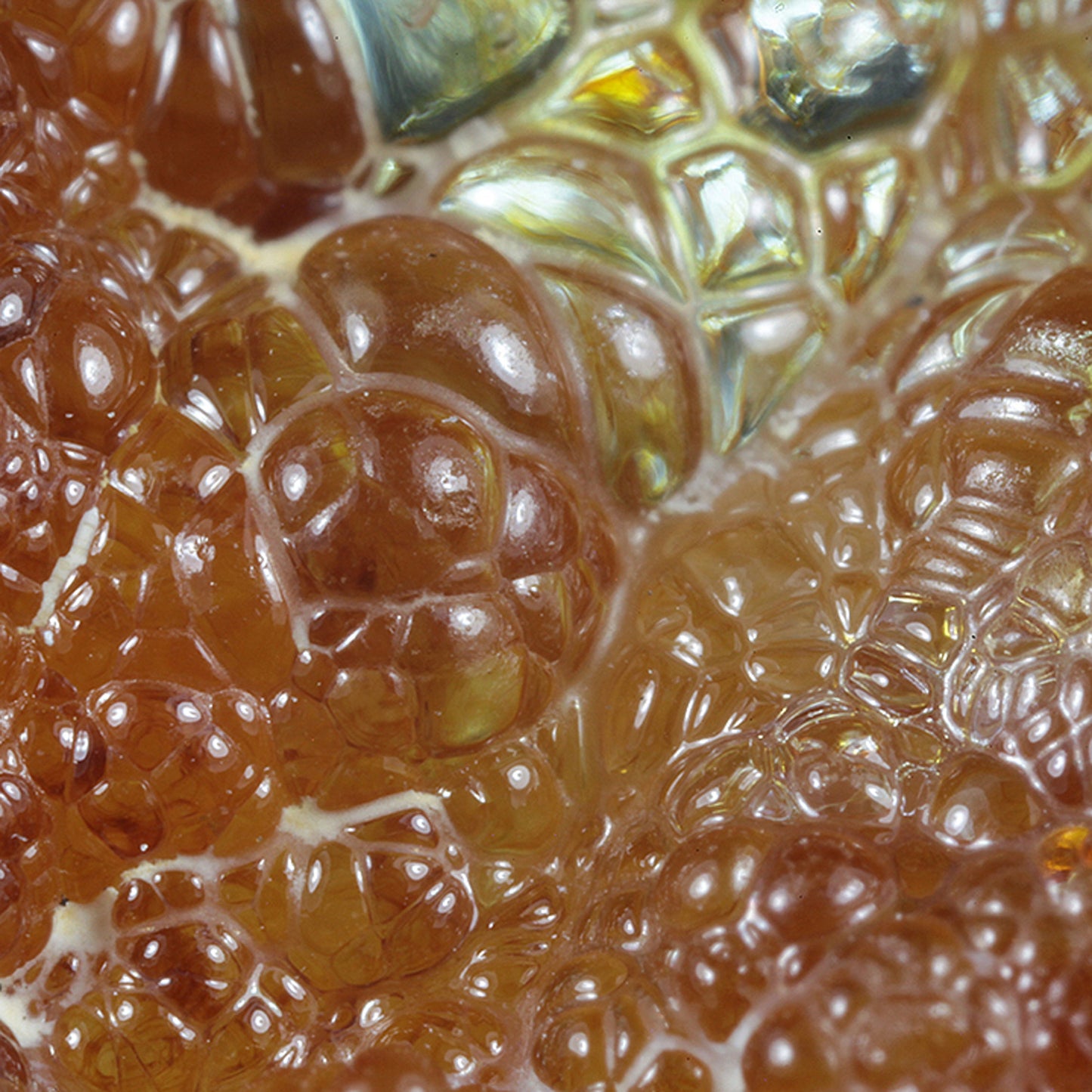 Opal
(var: Opal-AN) / (var: Hyalite Opal)