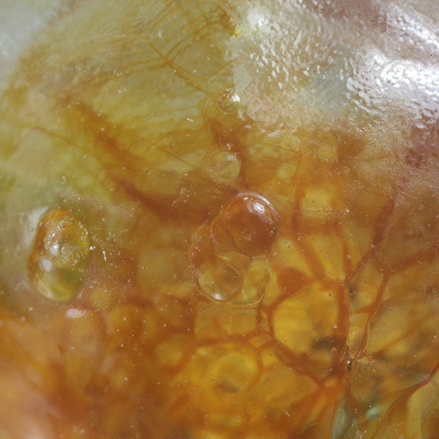 Opal
(var: Opal-AN) / (var: Hyalite Opal)
(“Blood Vessel Opal”)