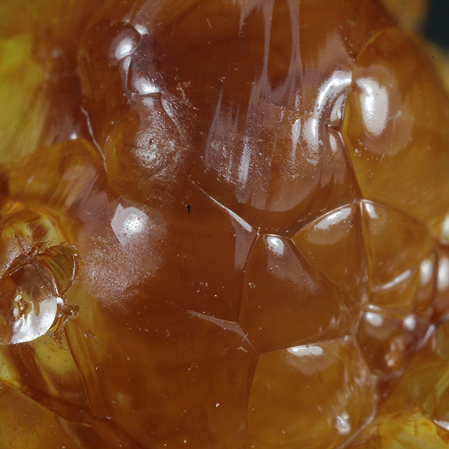 Opal
(var: Opal-AN) / (var: Hyalite Opal)
(“Blood Vessel Opal”)