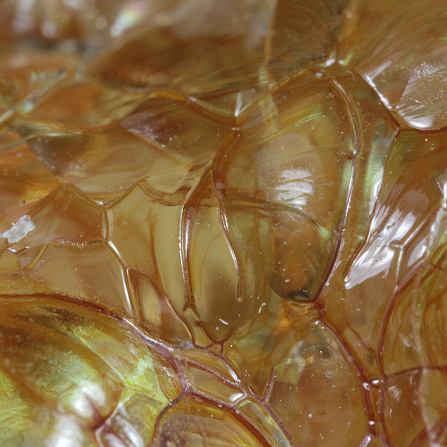Opal
(var: Opal-AN) / (var: Hyalite Opal)
(“Blood Vessel Opal”)