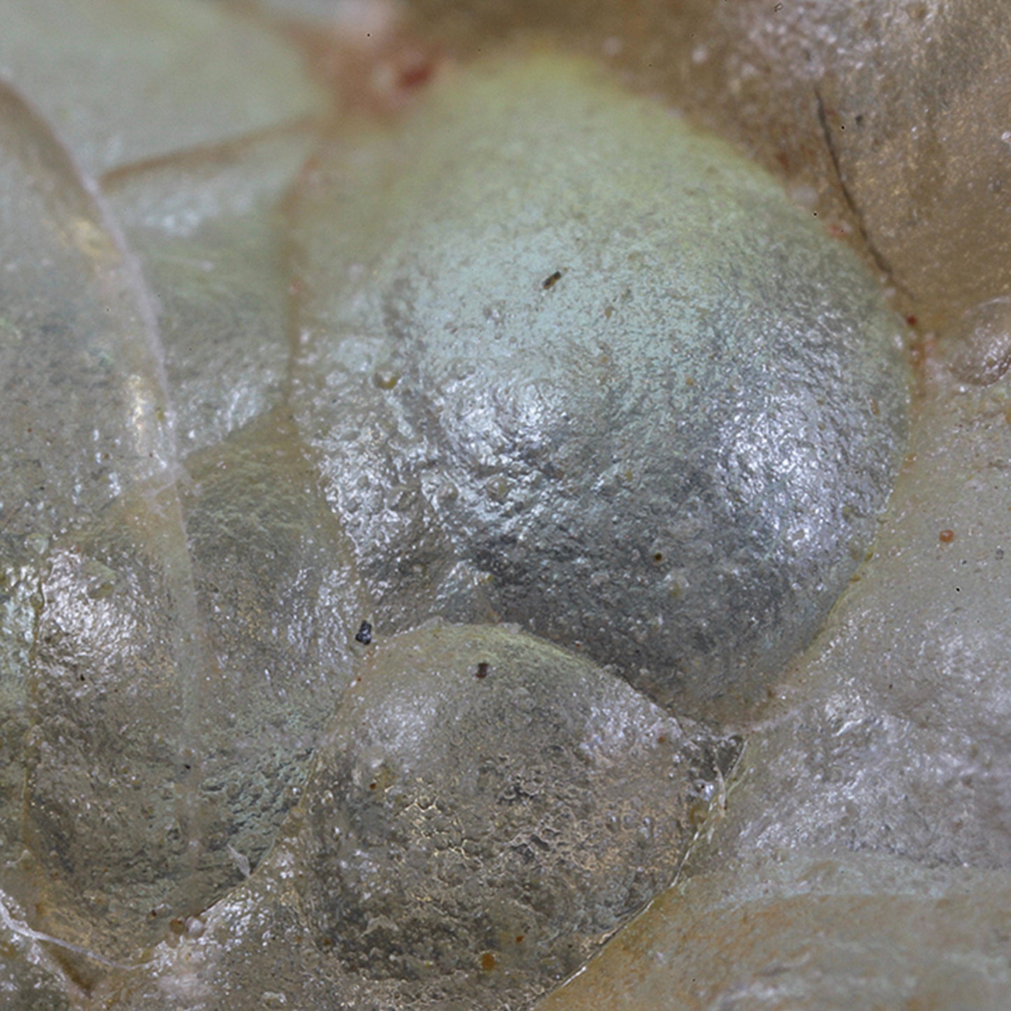 Opal
(var: Opal-AN) / (var: Hyalite Opal)
(“Blood Vessel Opal”)