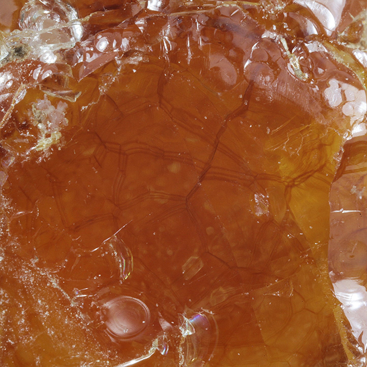Opal
(var: Opal-AN) / (var: Hyalite Opal)
(“Blood Vessel Opal”)