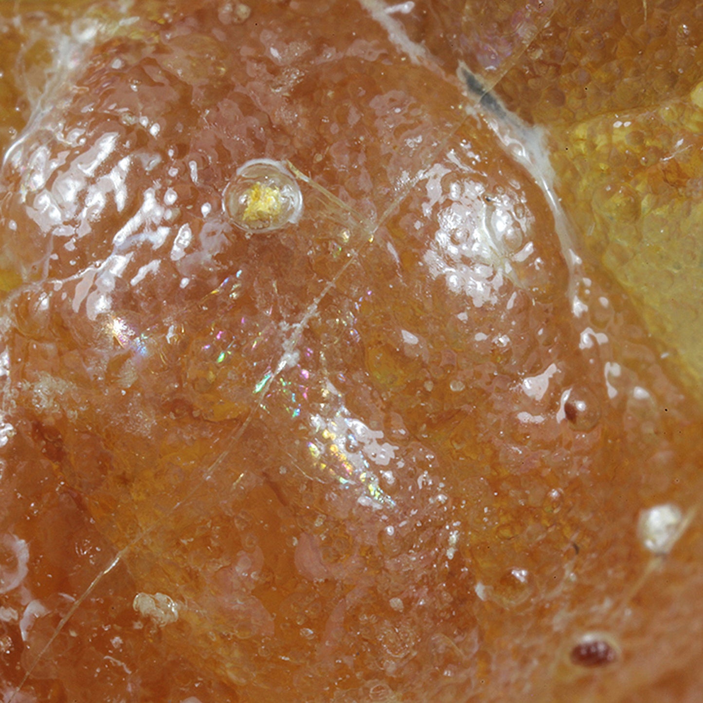 Opal
(var: Opal-AN) / (var: Hyalite Opal)
(“Blood Vessel Opal”)
