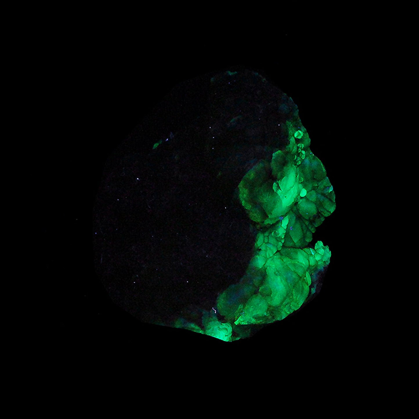 Opal
(var: Opal-AN) / (var: Hyalite Opal)
(“Blood Vessel Opal”)