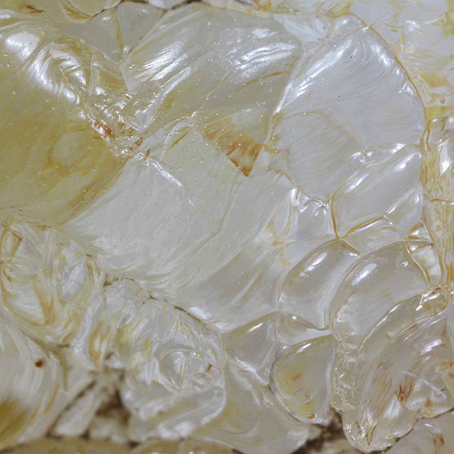 Opal
(var: Opal-AN) / (var: Hyalite Opal)
(“Blood Vessel Opal”)