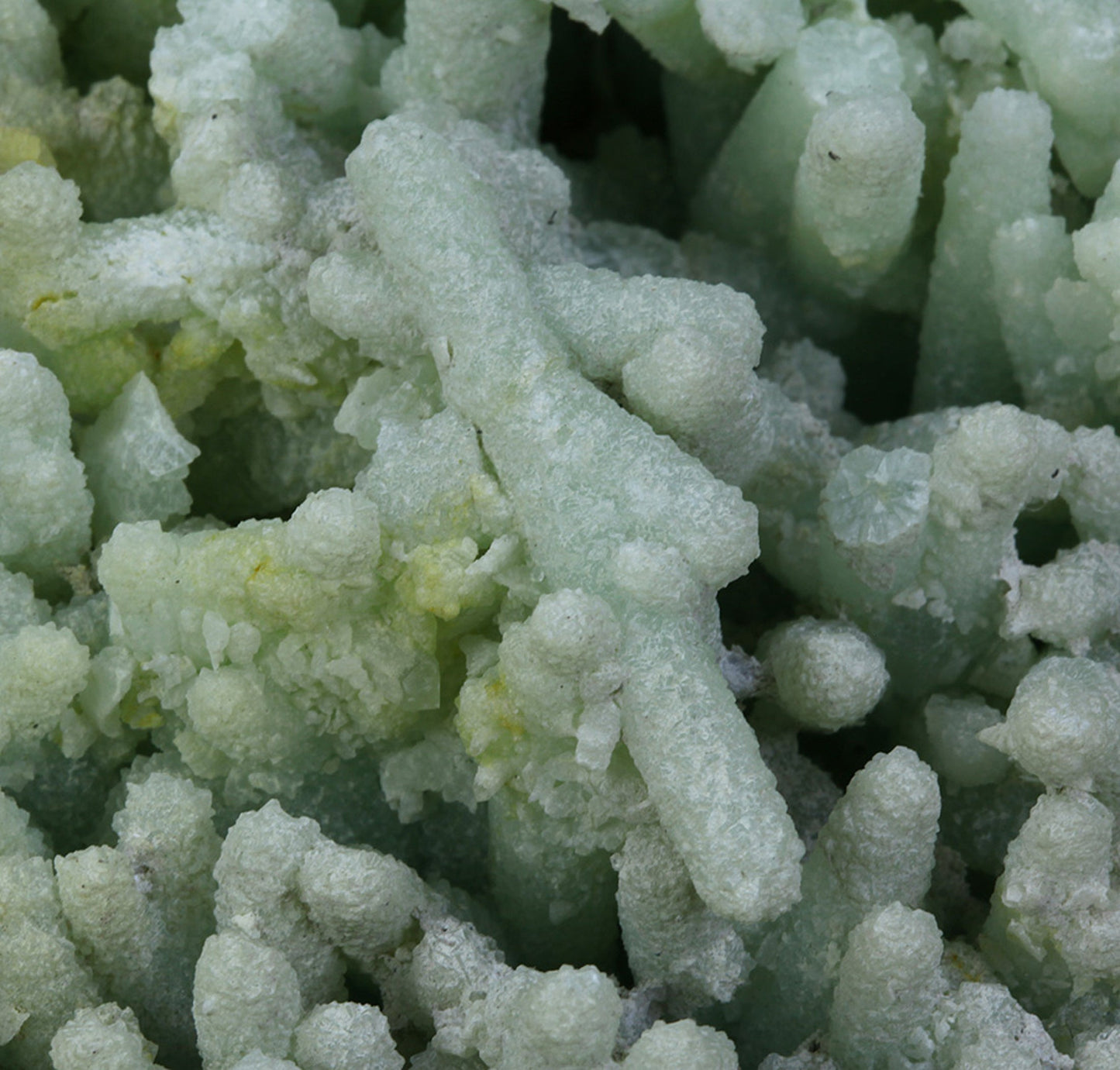 Prehnite