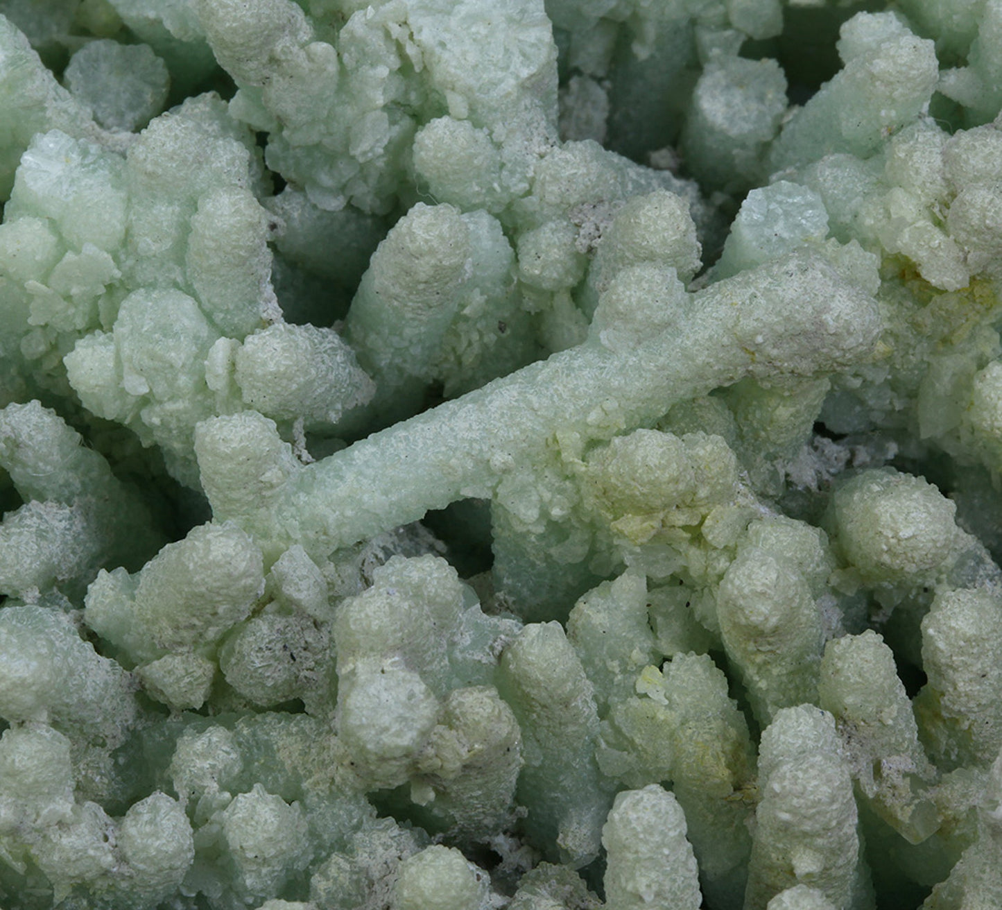 Prehnite