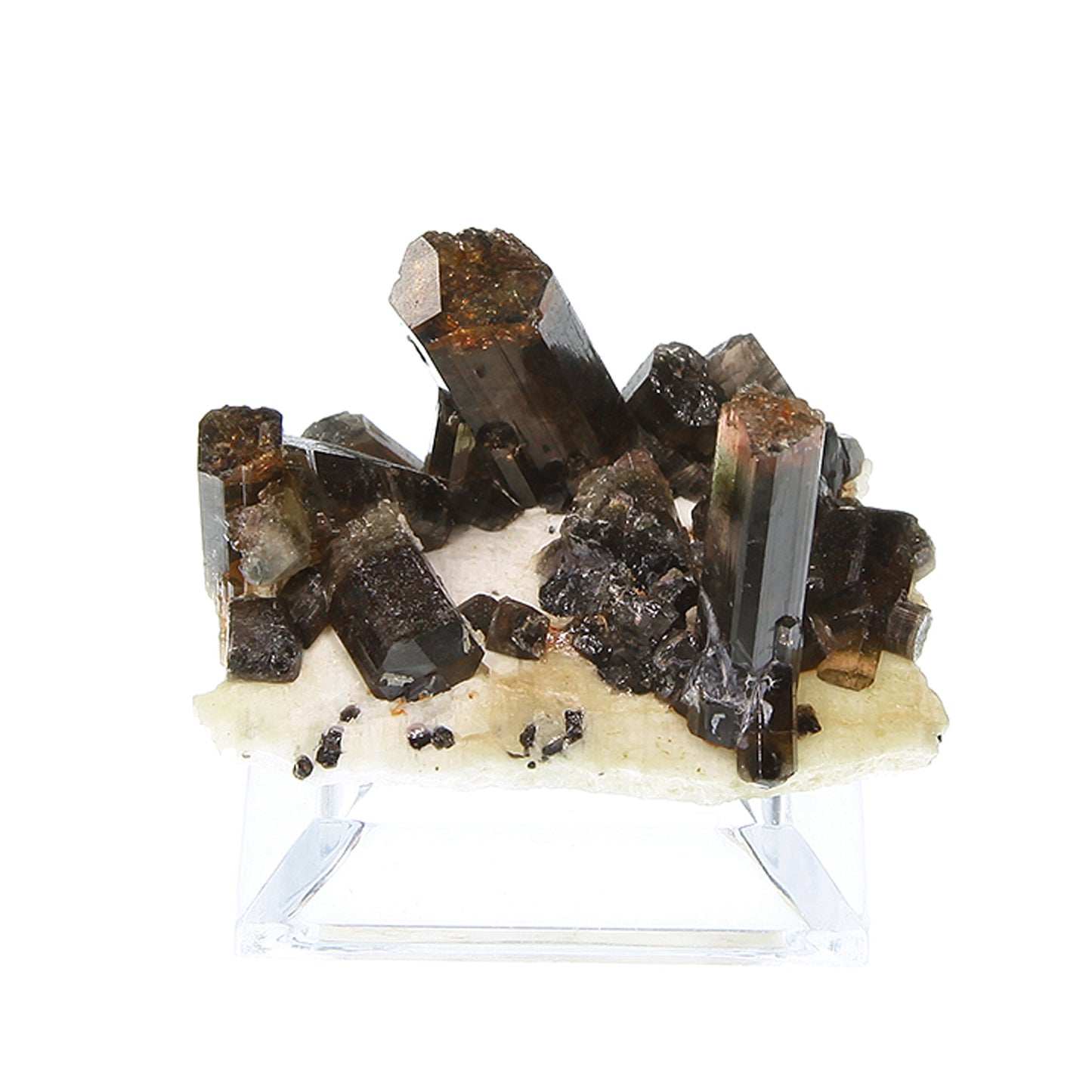 Tourmaline
(Fluor-Liddicoatite)