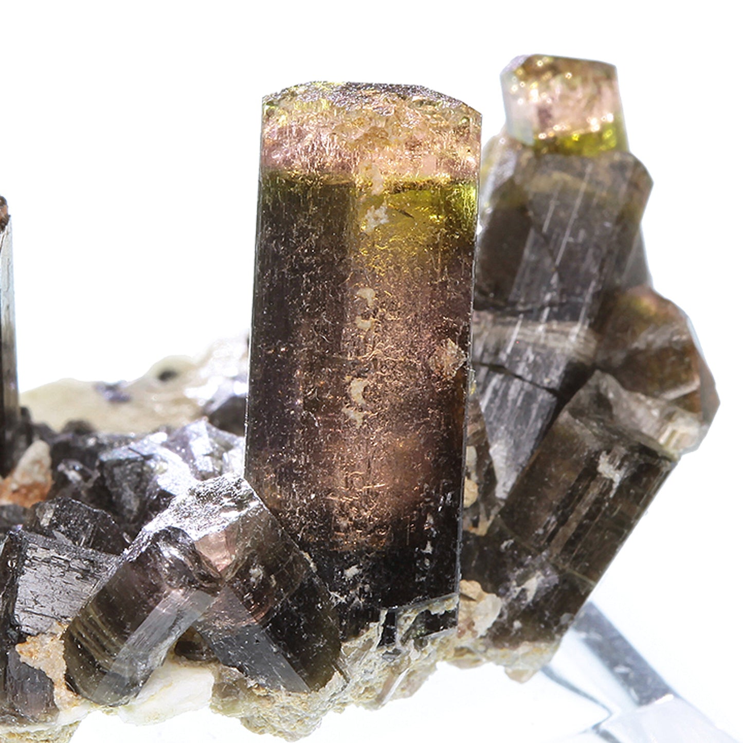 Tourmaline
(Fluor-Liddicoatite)