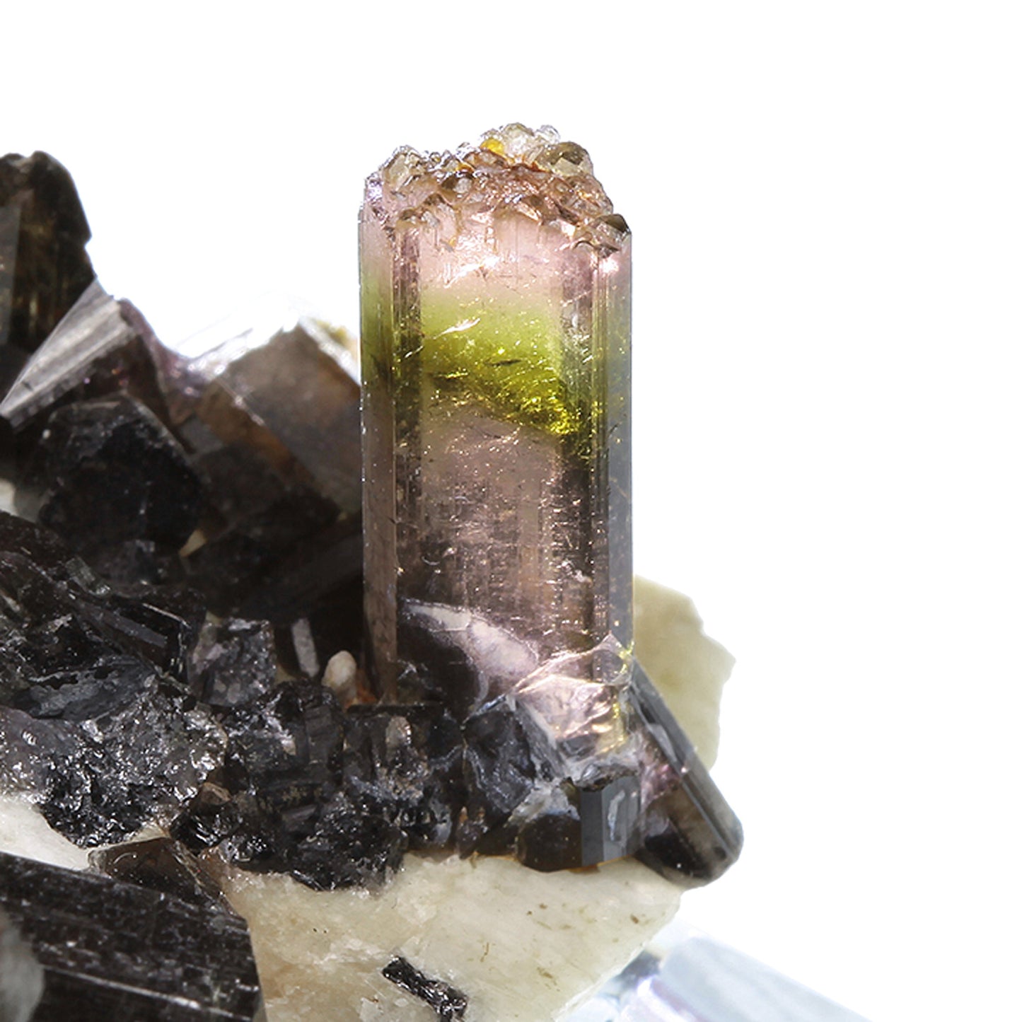 Tourmaline
(Fluor-Liddicoatite)