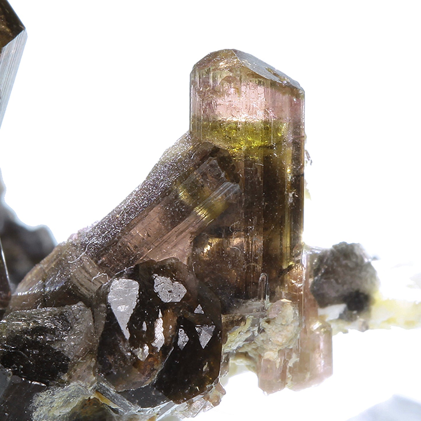 Tourmaline
(Fluor-Liddicoatite)