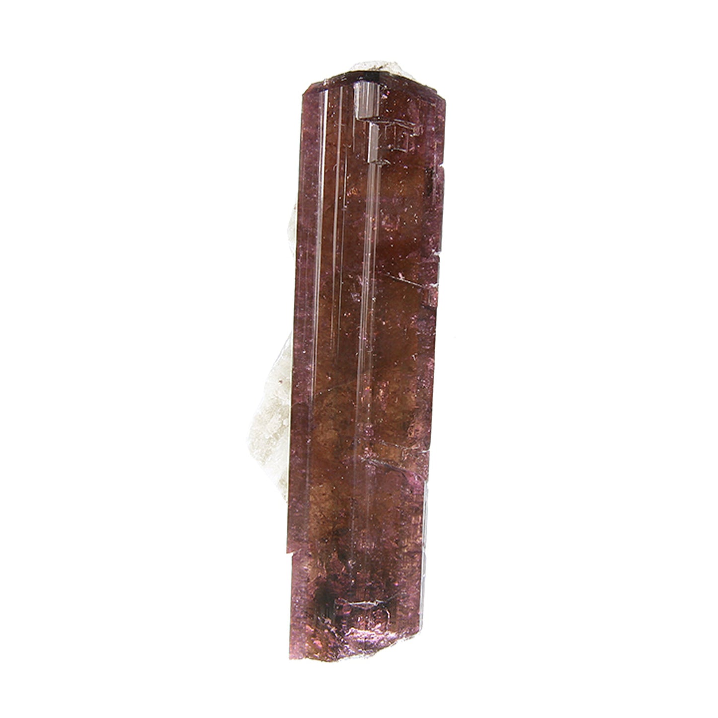 Tourmaline
(Fluor-Liddicoatite)