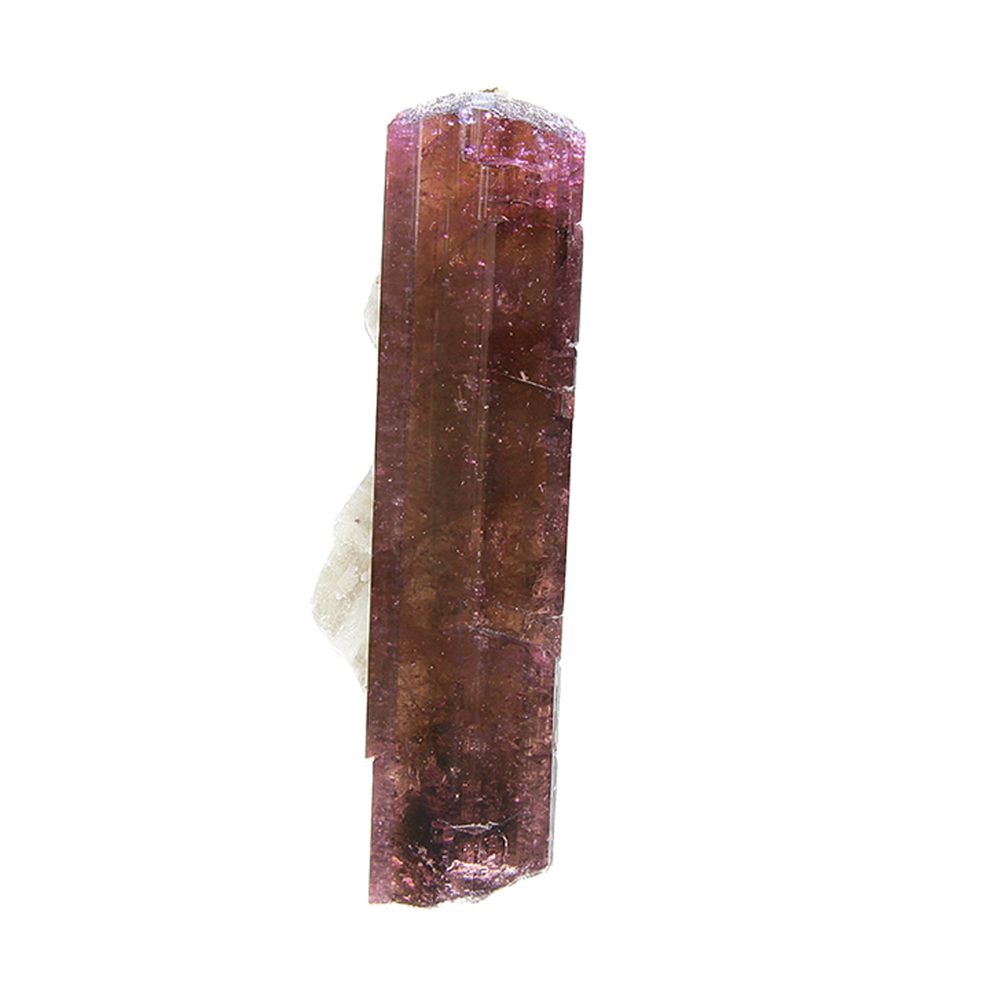 Tourmaline
(Fluor-Liddicoatite)