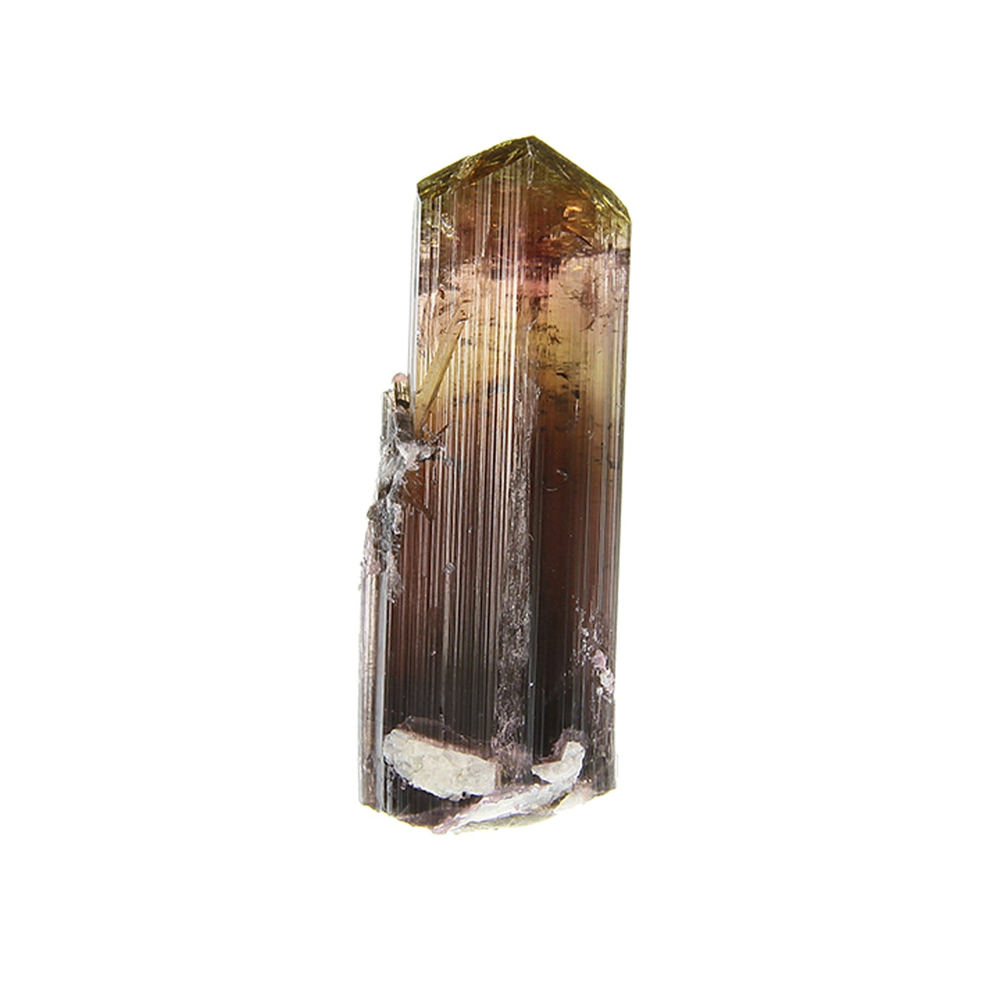 Tourmaline
(Fluor-Liddicoatite)