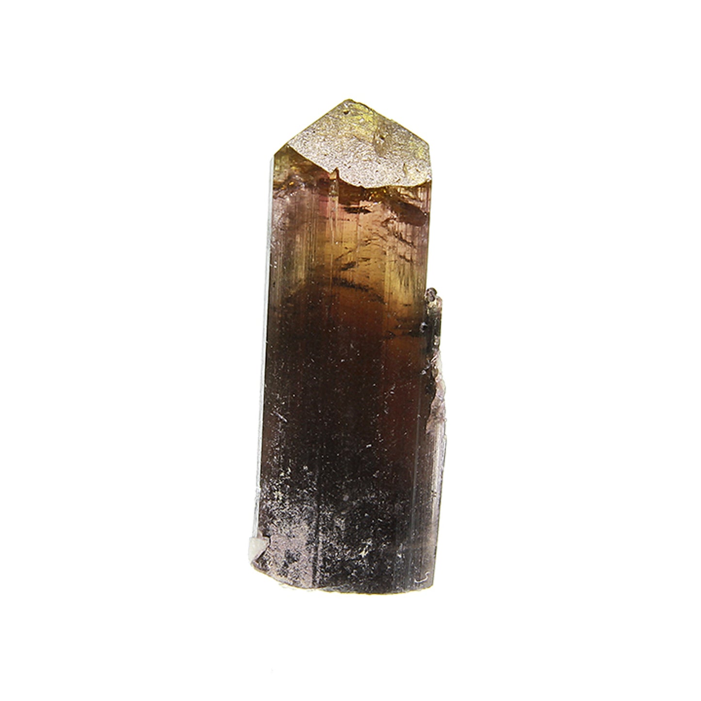 Tourmaline
(Fluor-Liddicoatite)