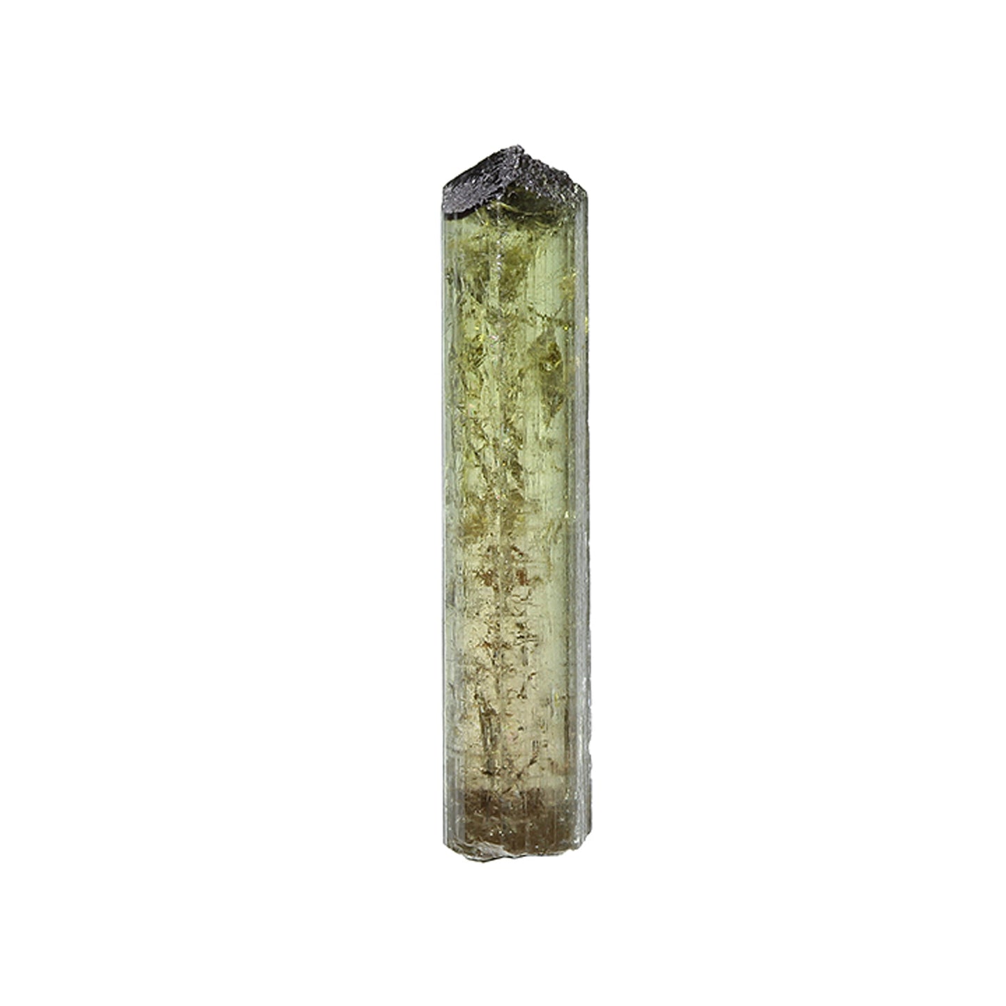 Tourmaline
(Fluor-Liddicoatite)