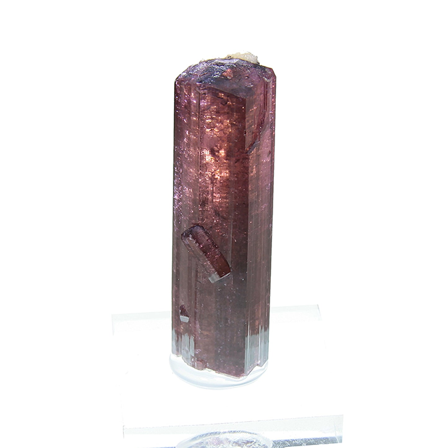 Tourmaline
(Fluor-Liddicoatite)