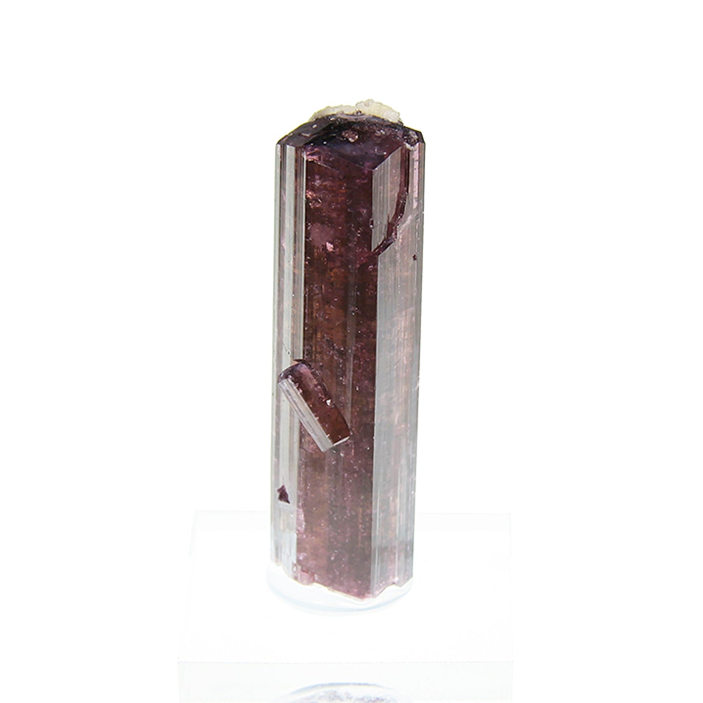 Tourmaline
(Fluor-Liddicoatite)