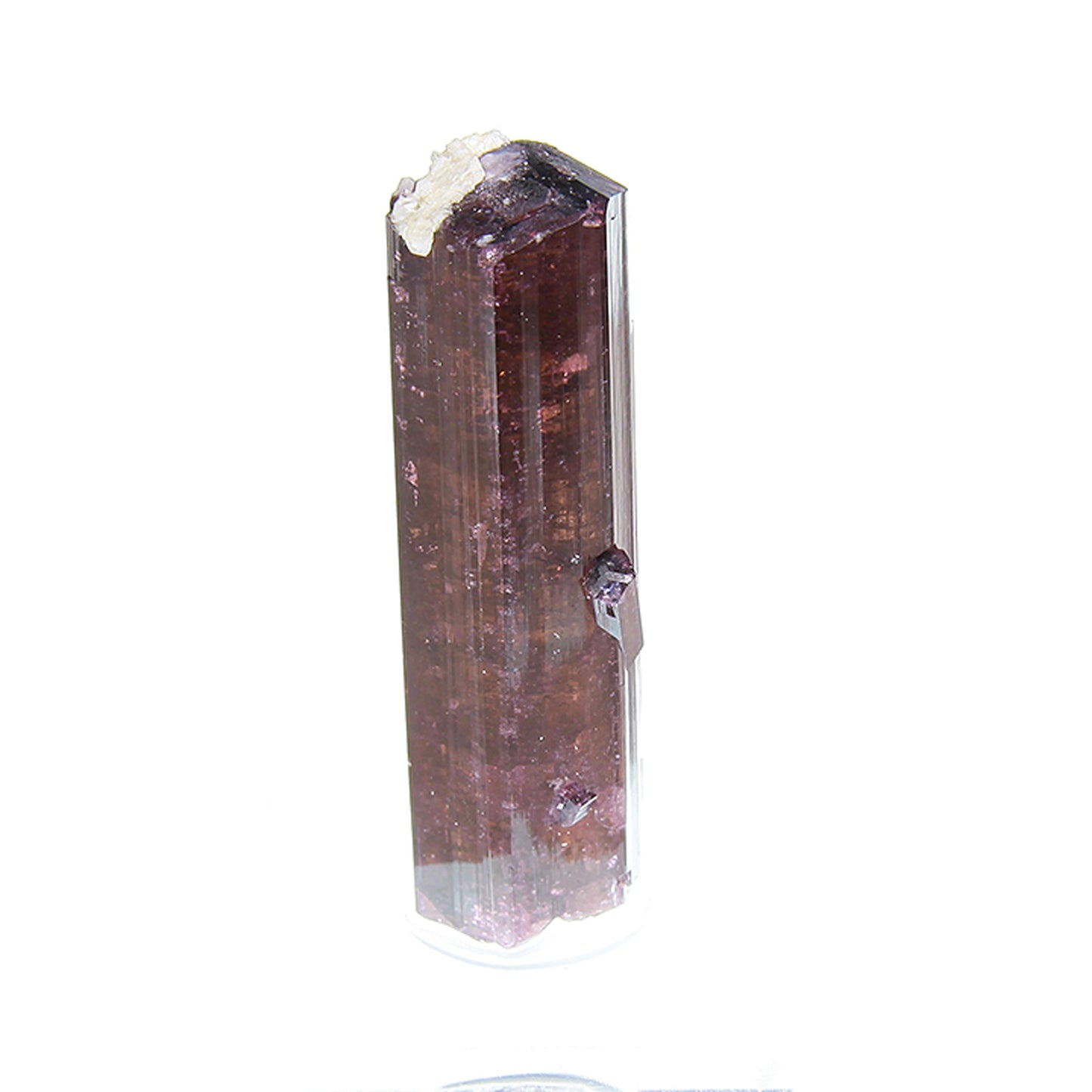 Tourmaline
(Fluor-Liddicoatite)