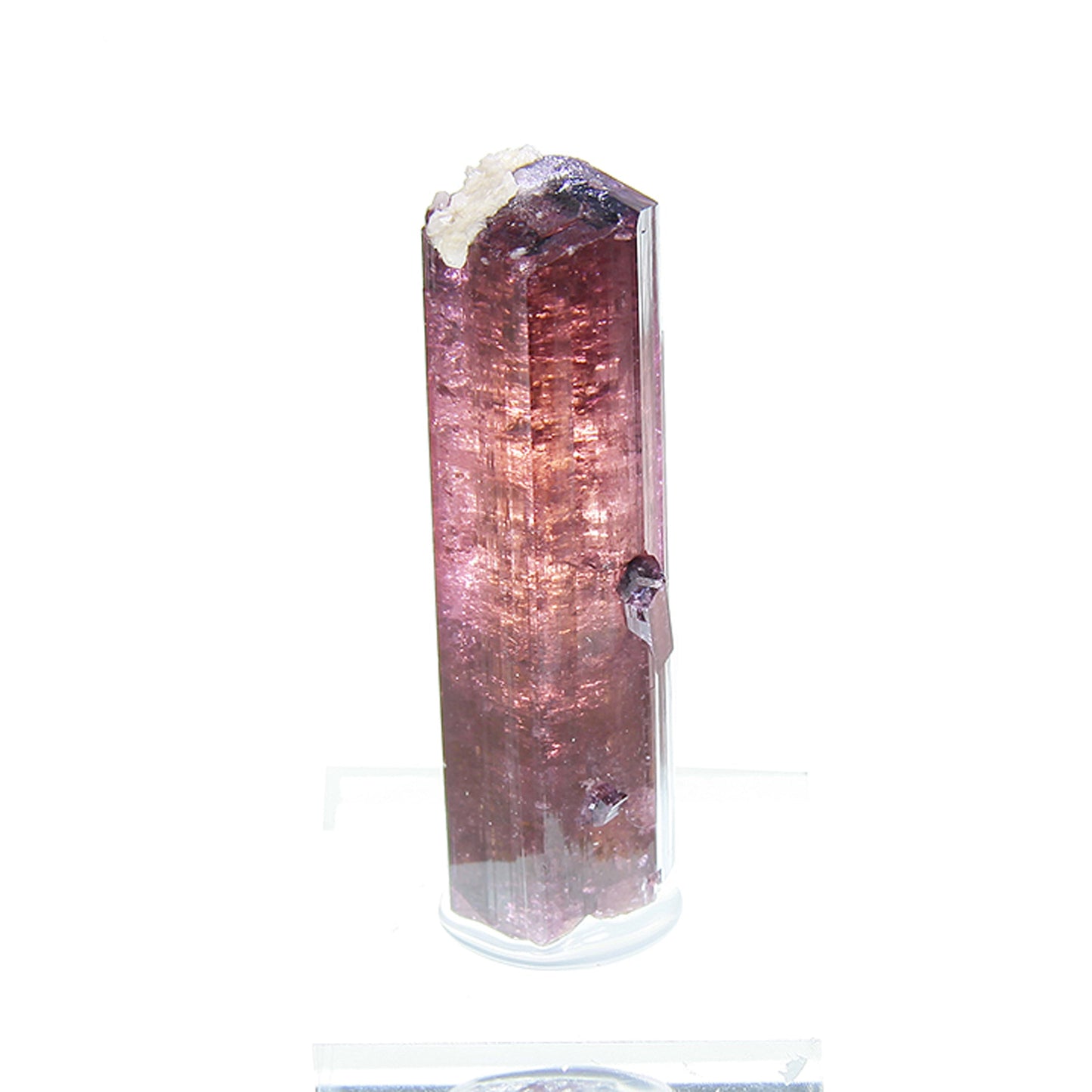 Tourmaline
(Fluor-Liddicoatite)