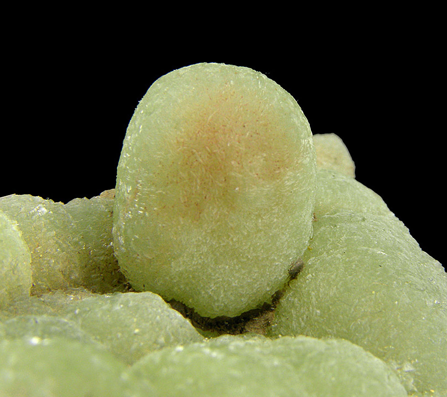 Prehnite finger cast after Anhydrite
