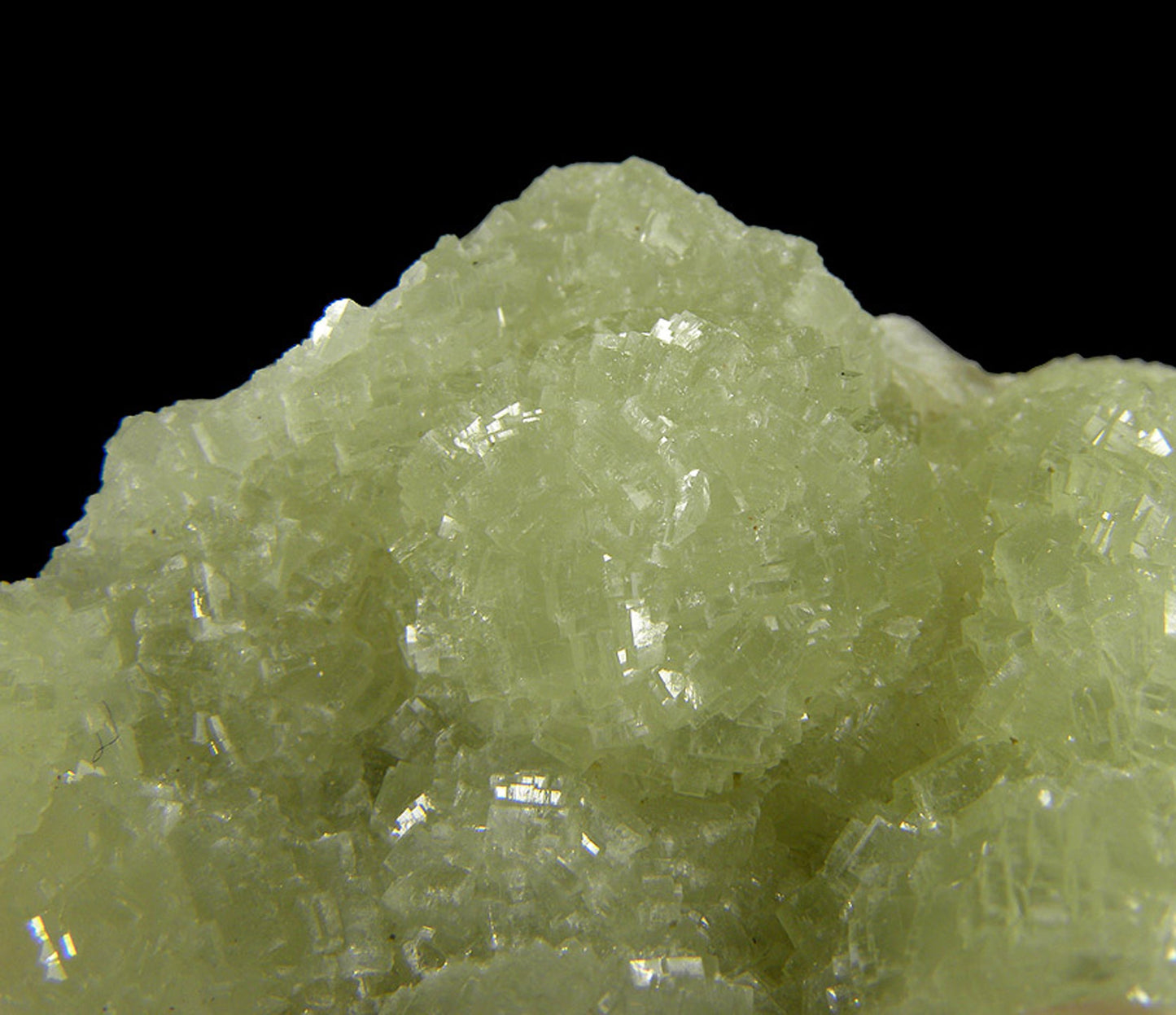 Prehnite casts after Anhydrite with “Phacolite” twinned Chabazite & Pumpellyite