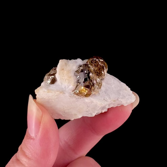 Zircon 
(RARE matrix specimen)