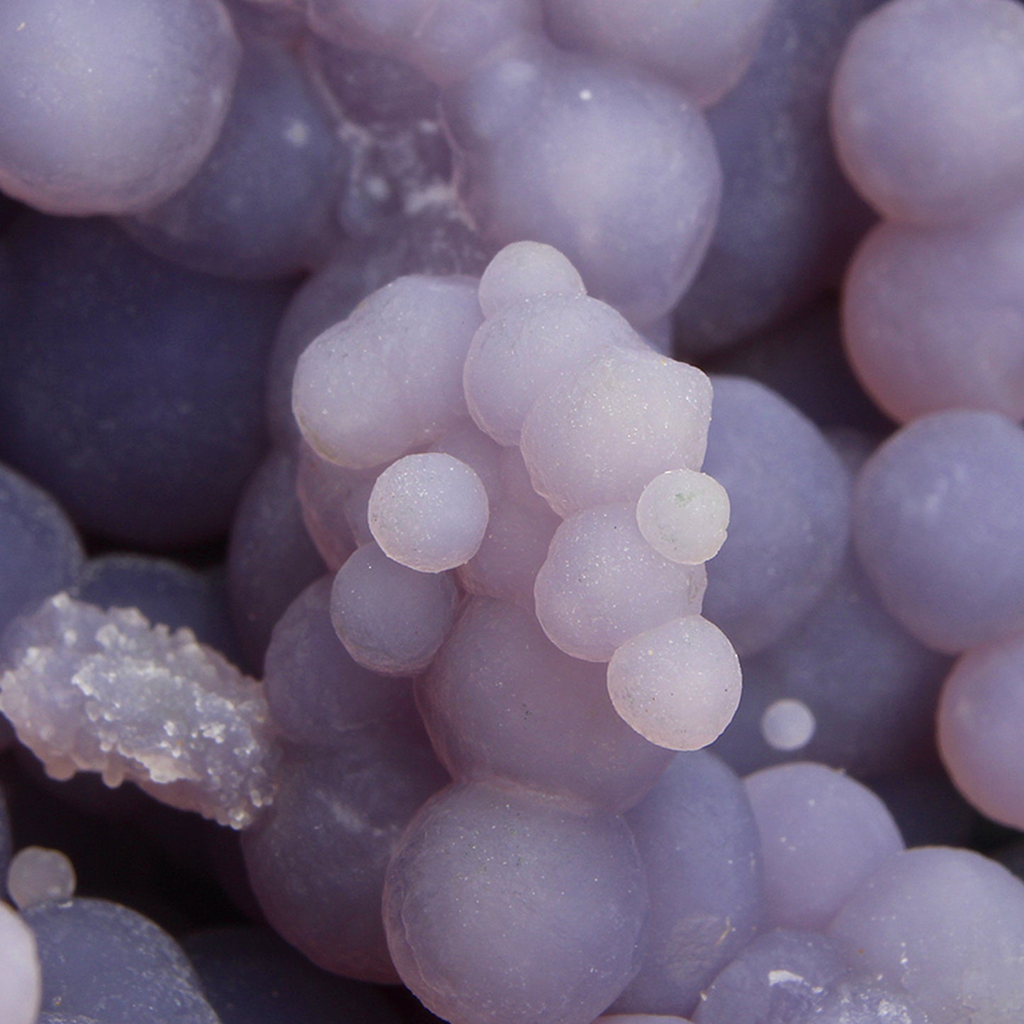 Quartz (var: Chalcedony) / (var:Agate) / ("Grape Chalcedony / Grape Agate")