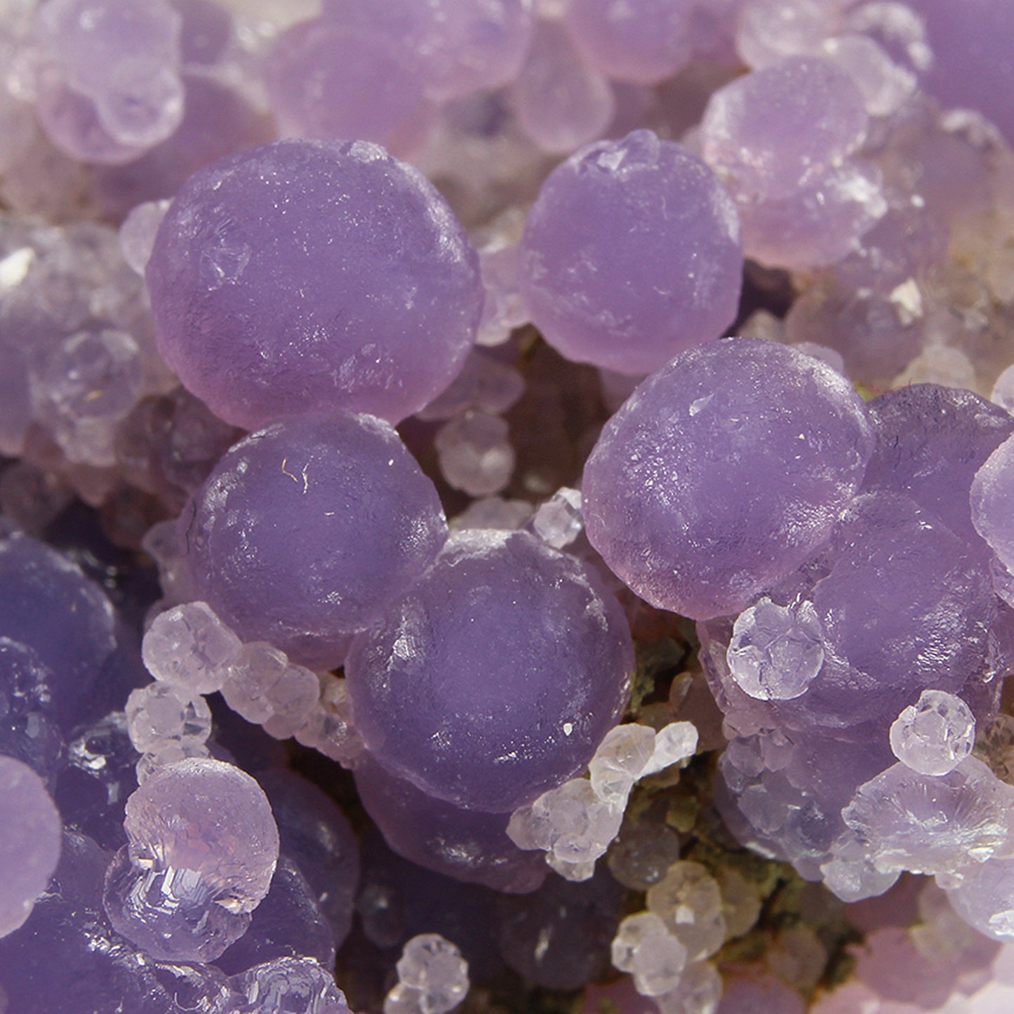 Quartz (var: Chalcedony) / (var:Agate) / ("Grape Chalcedony / Grape Agate")