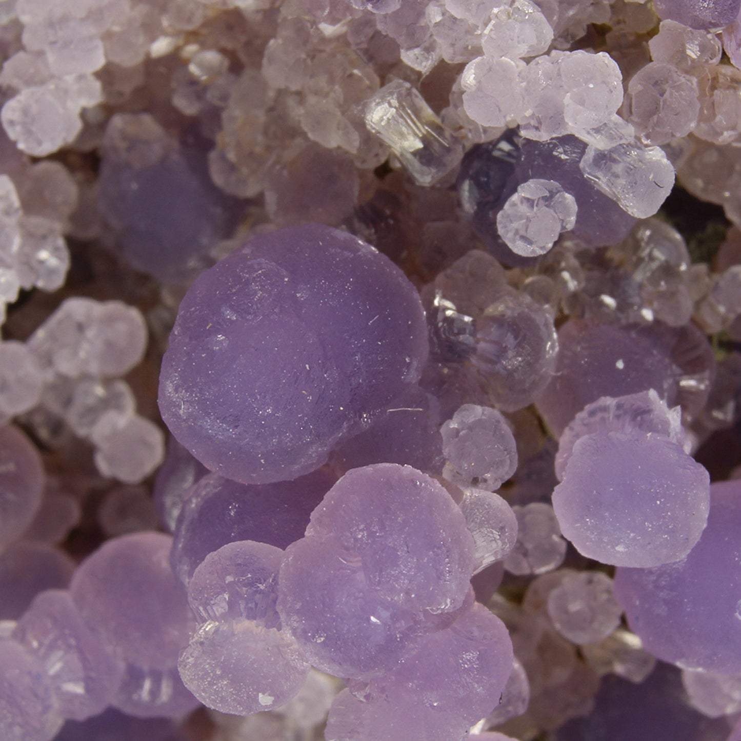 Quartz (var: Chalcedony) / (var:Agate) / ("Grape Chalcedony / Grape Agate")