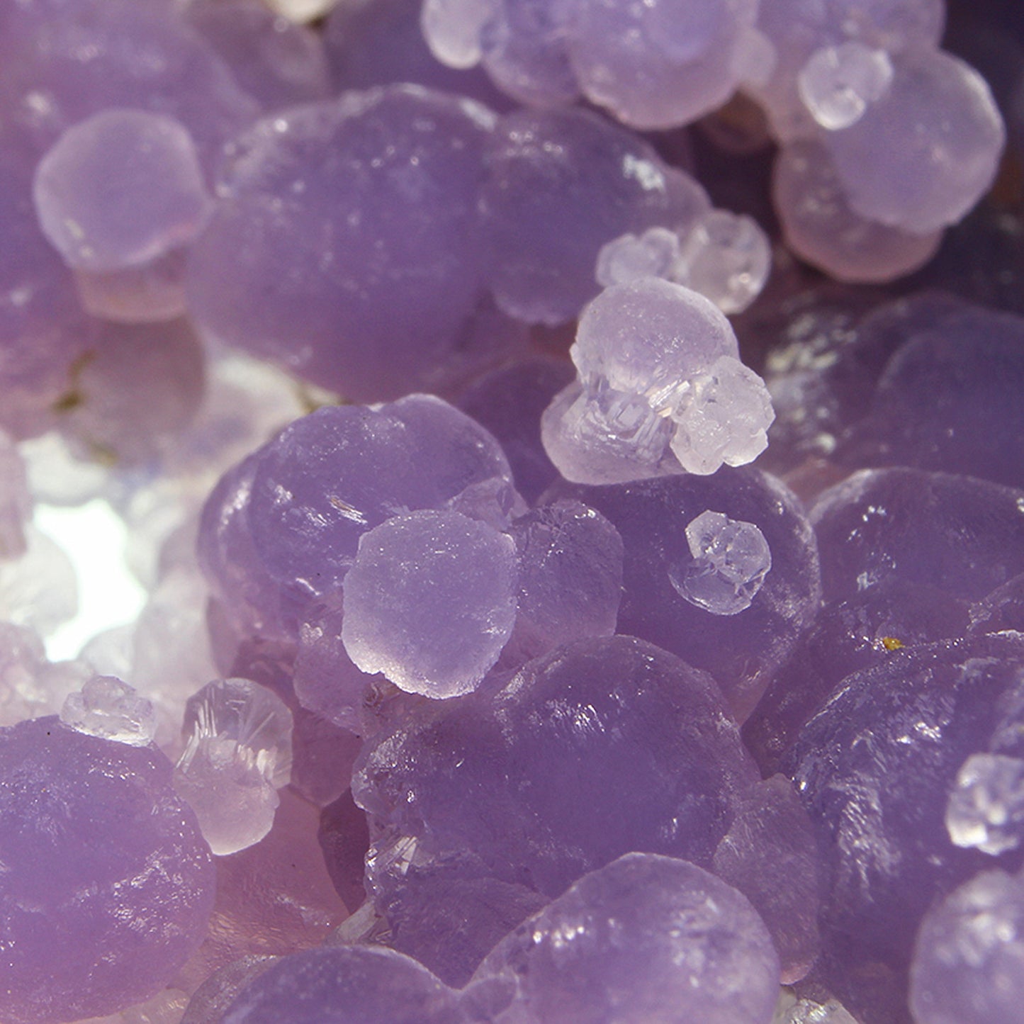 Quartz (var: Chalcedony) / (var:Agate) / ("Grape Chalcedony / Grape Agate")