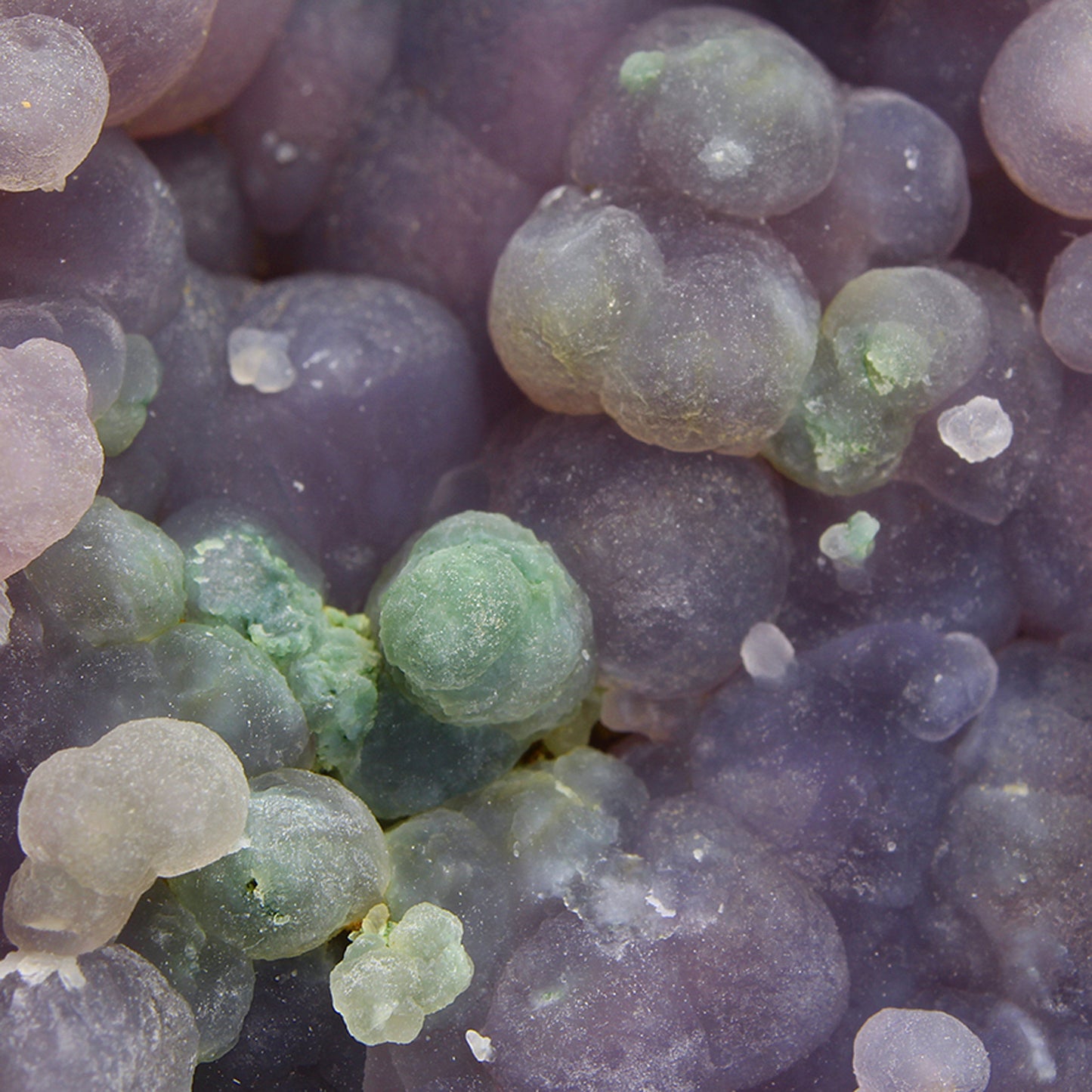 Quartz (var: Chalcedony) / (var:Agate) / ("Grape Chalcedony / Grape Agate")