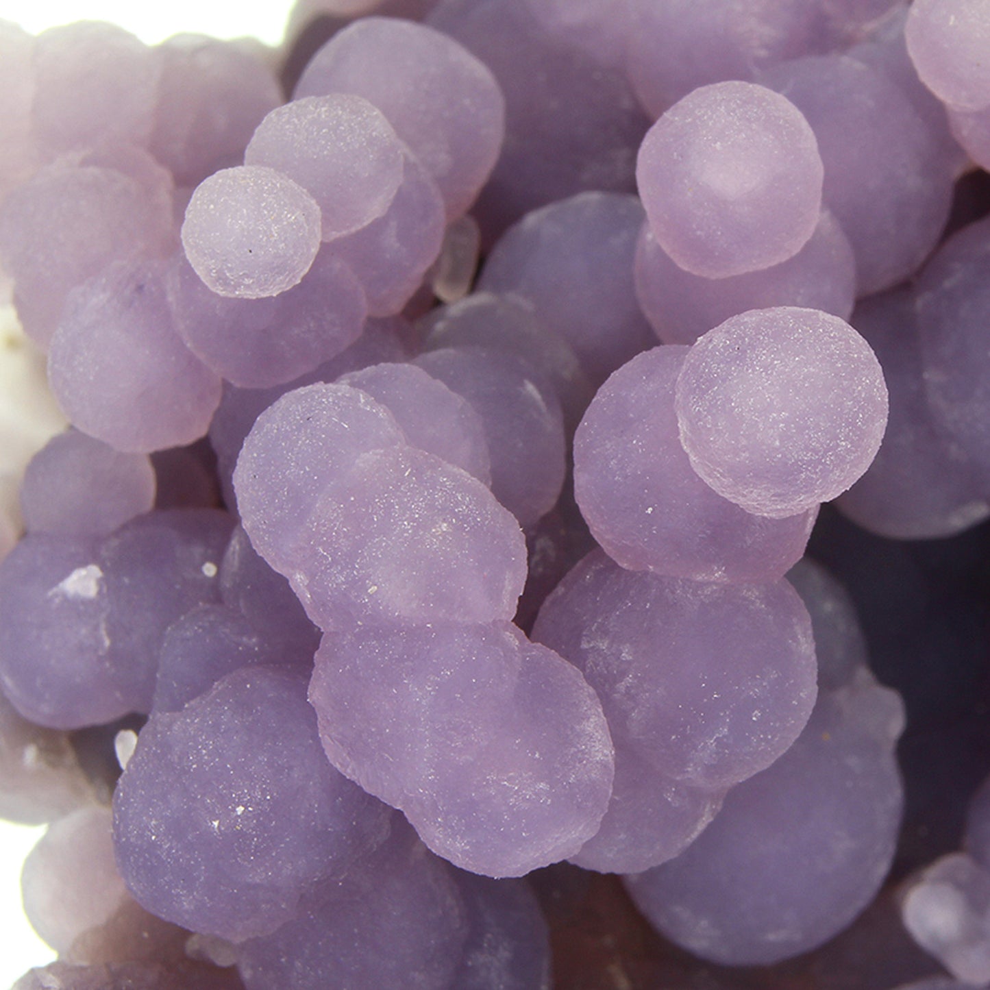 Quartz (var: Chalcedony) / (var:Agate) / ("Grape Chalcedony / Grape Agate")