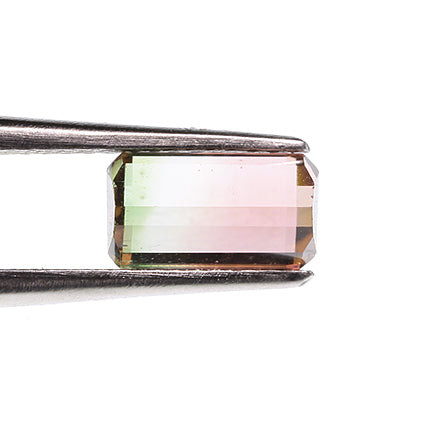 Tourmaline 
(Tricolor)