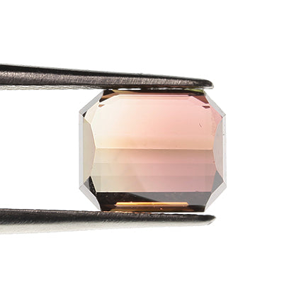 Tourmaline 
(Unusual Bicolor)