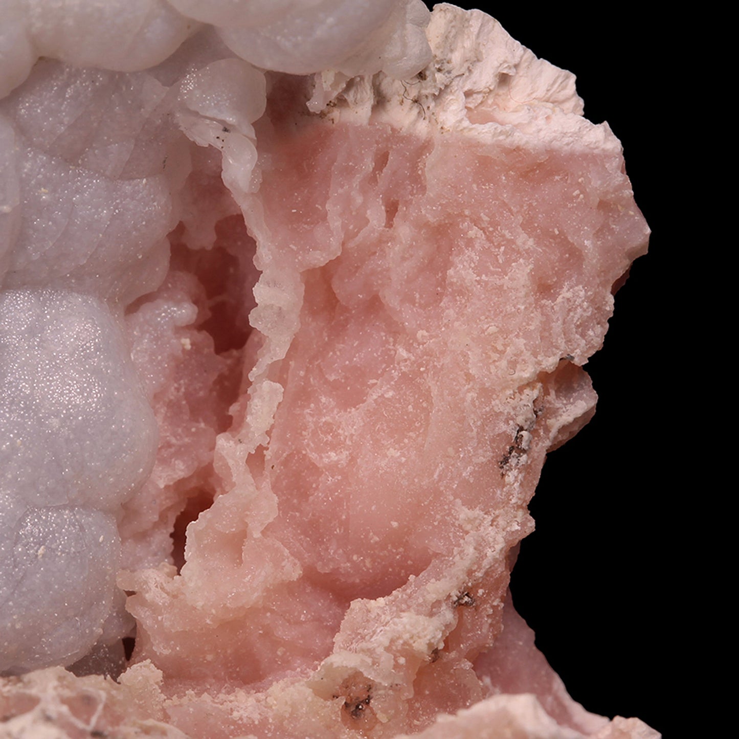 Opal
(Pink and Lavender)