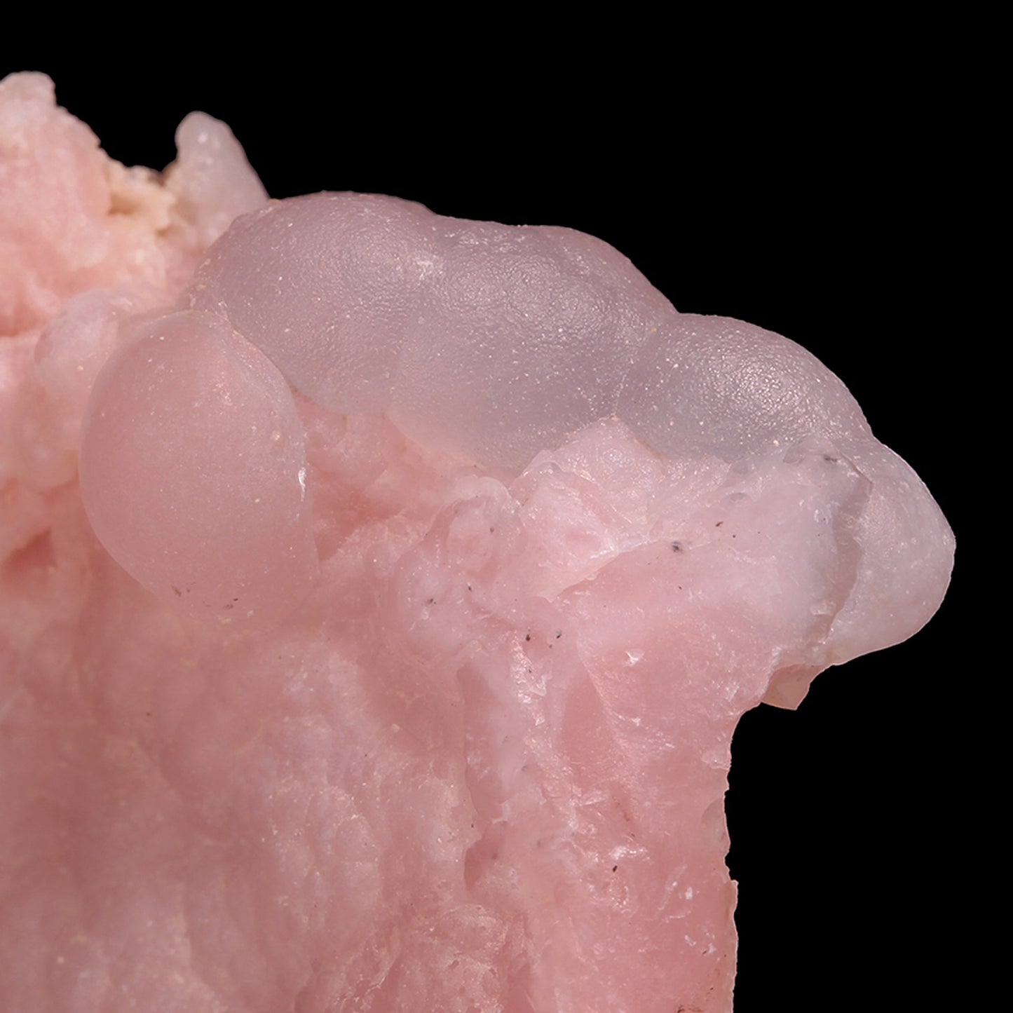 Opal
(Pink and Lavender)