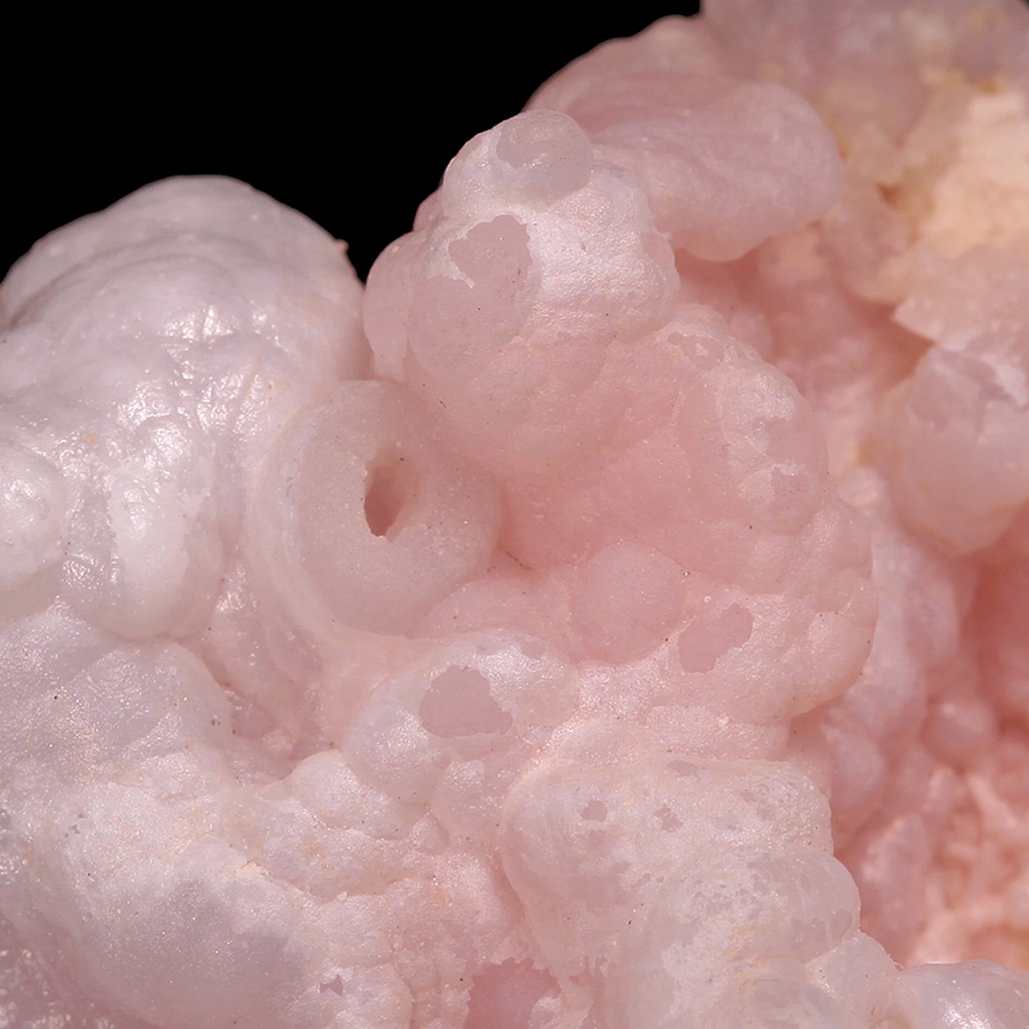Opal
(Pink and Lavender)