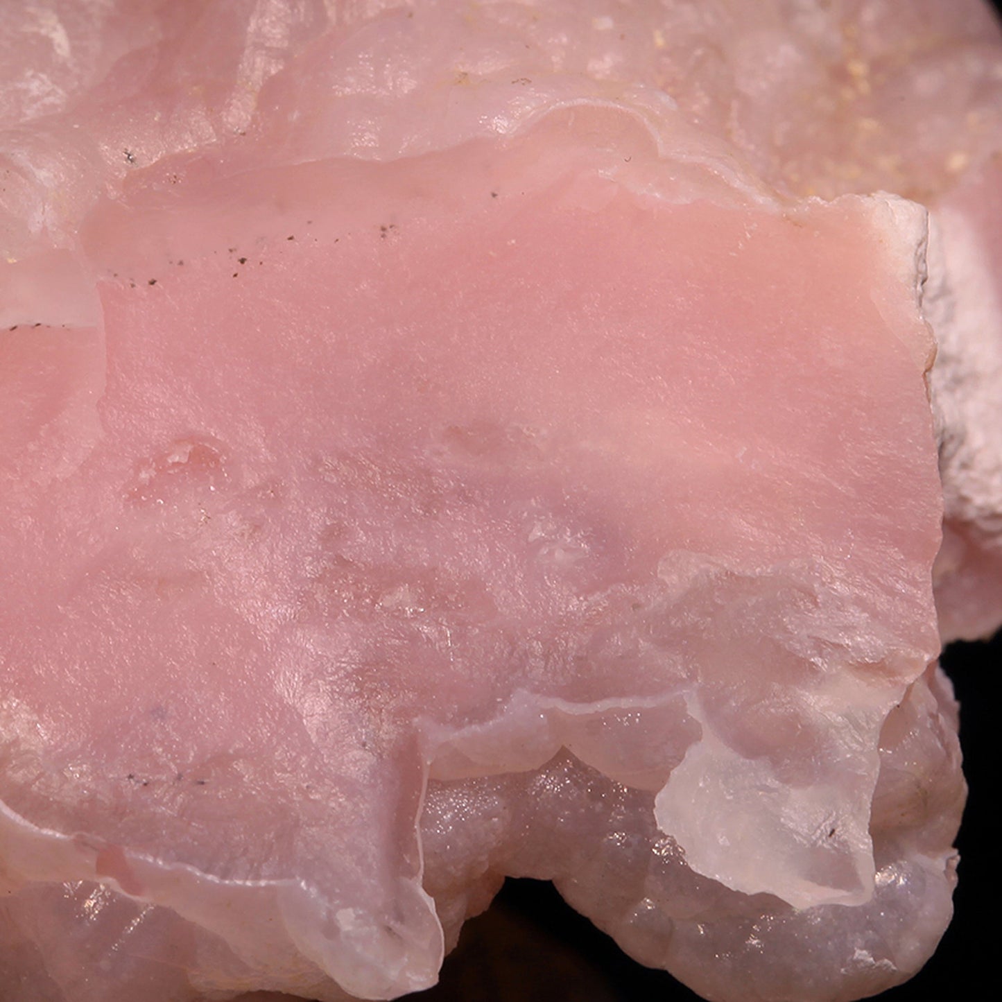 Opal
(Pink and Lavender)