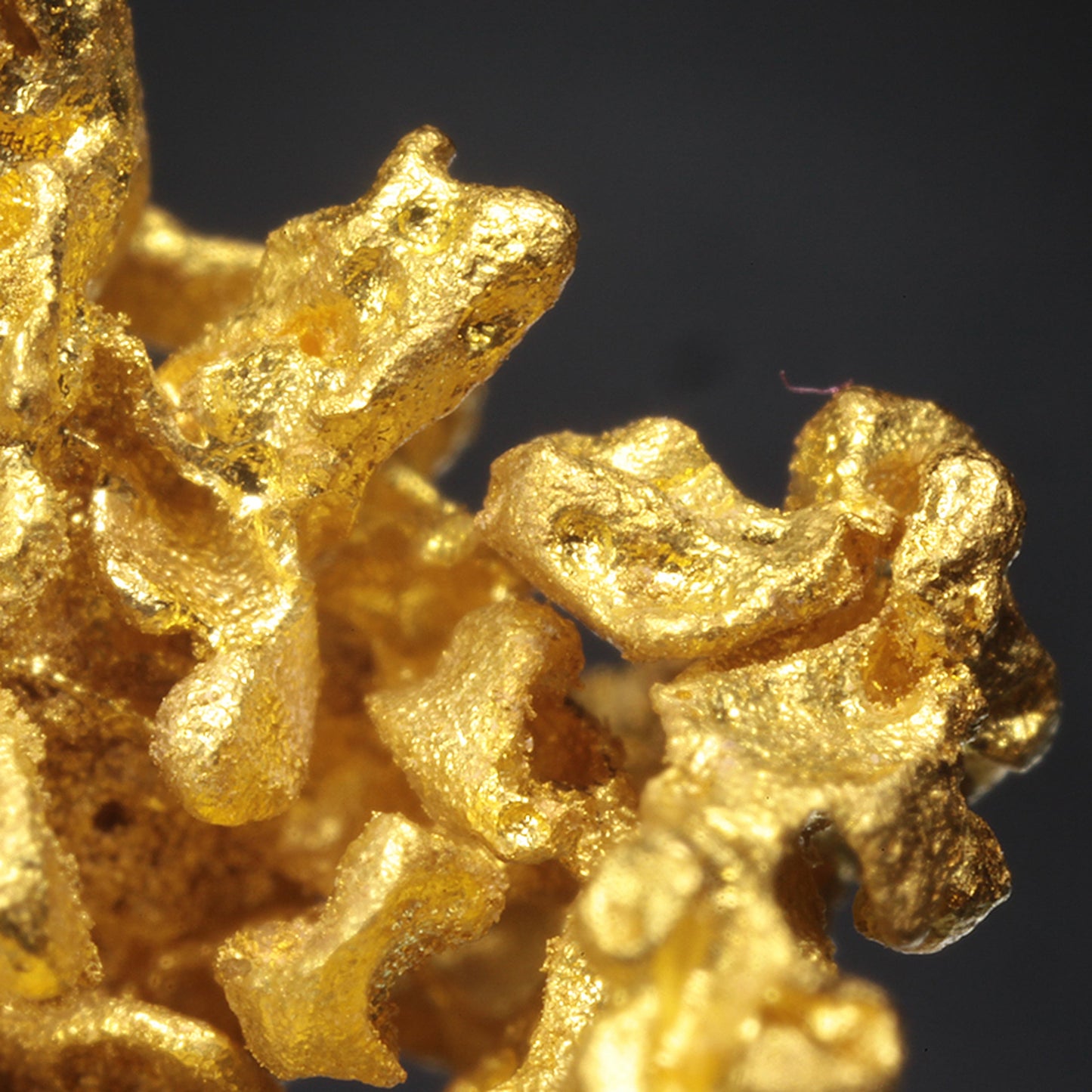 Gold