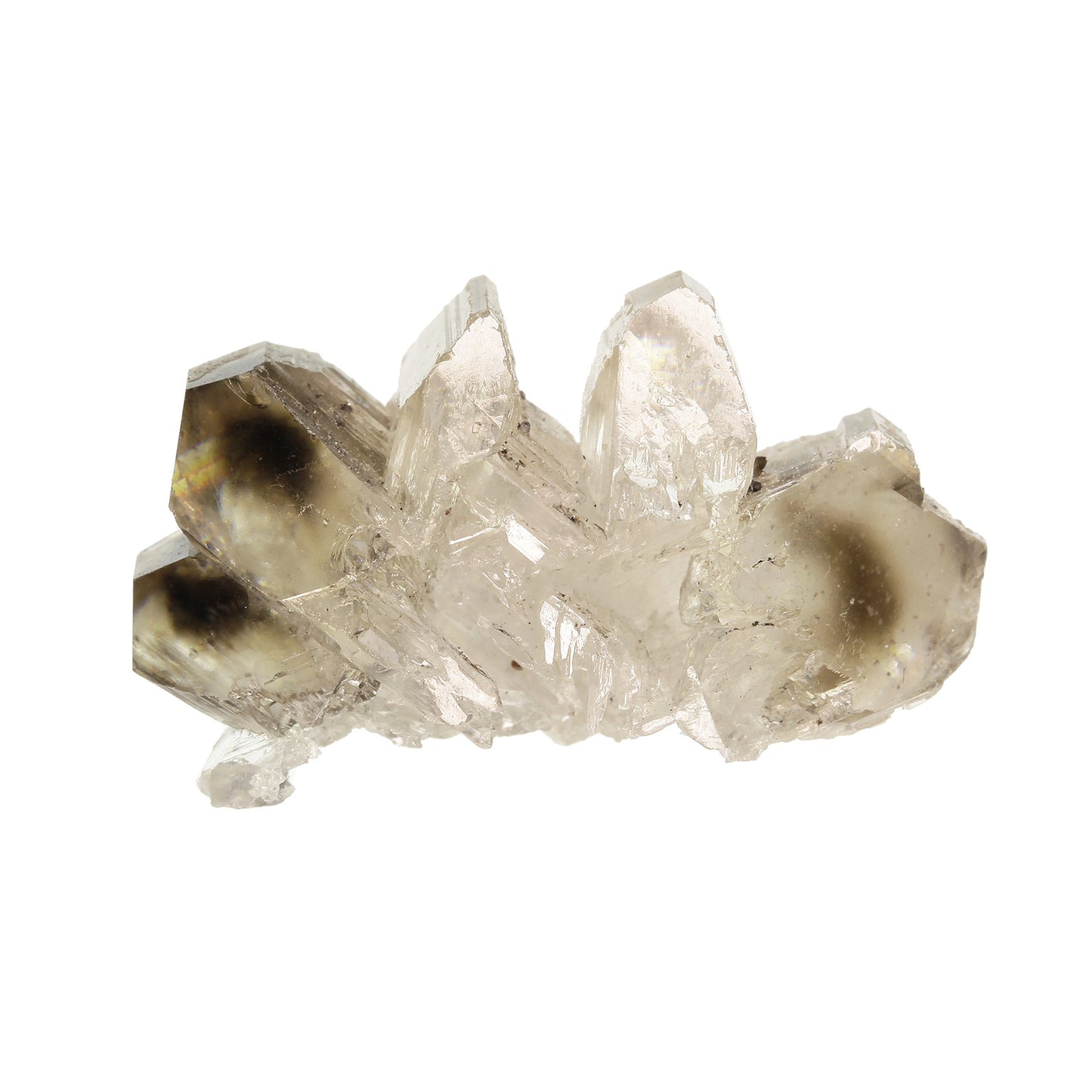 Cerussite
(GEMMY “snowflake" twin)