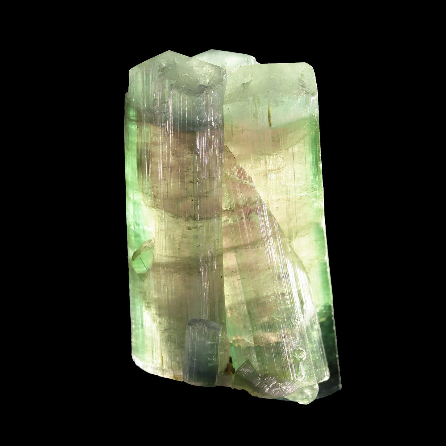 Tourmaline
(multi-color, multi-terminated crystal group)