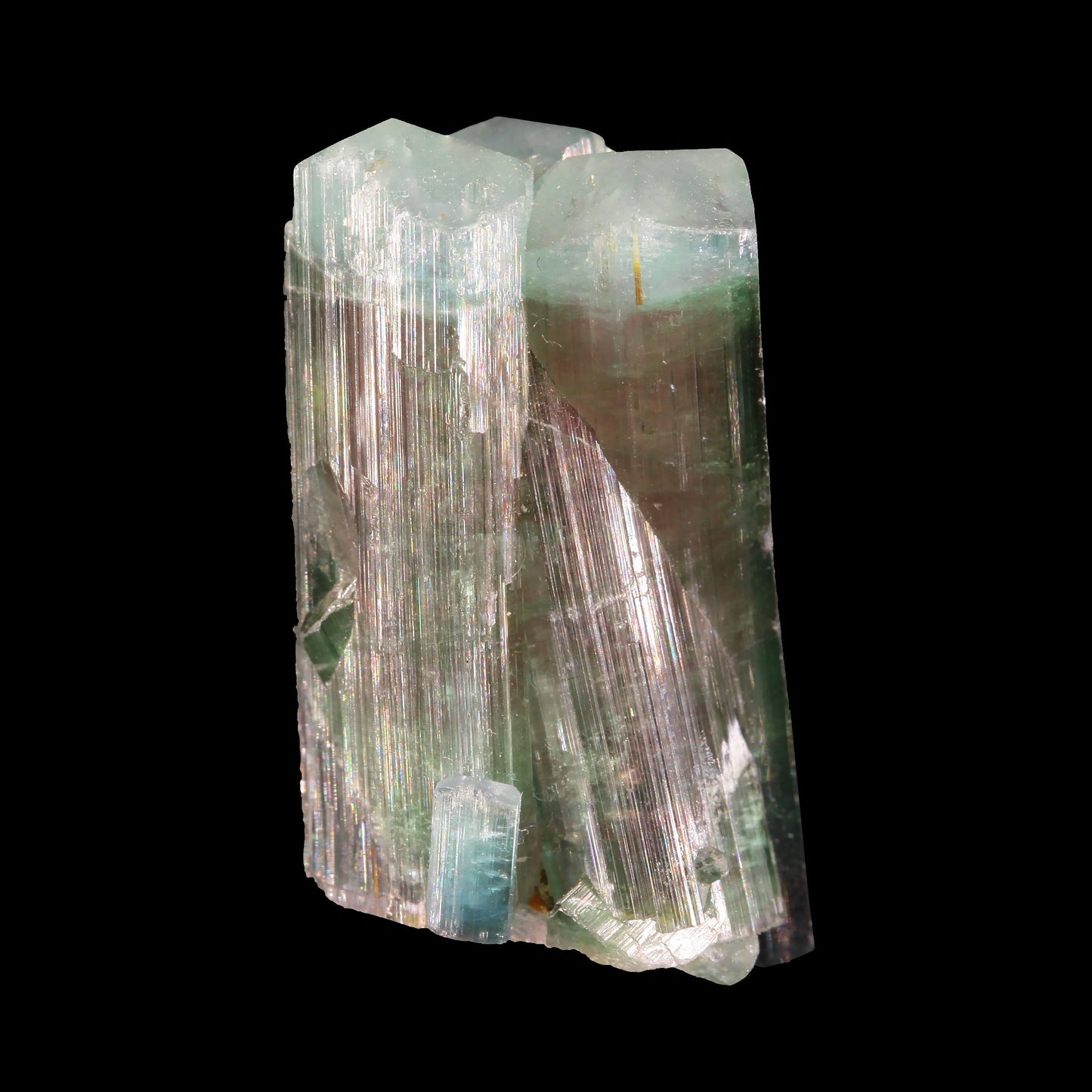 Tourmaline
(multi-color, multi-terminated crystal group)