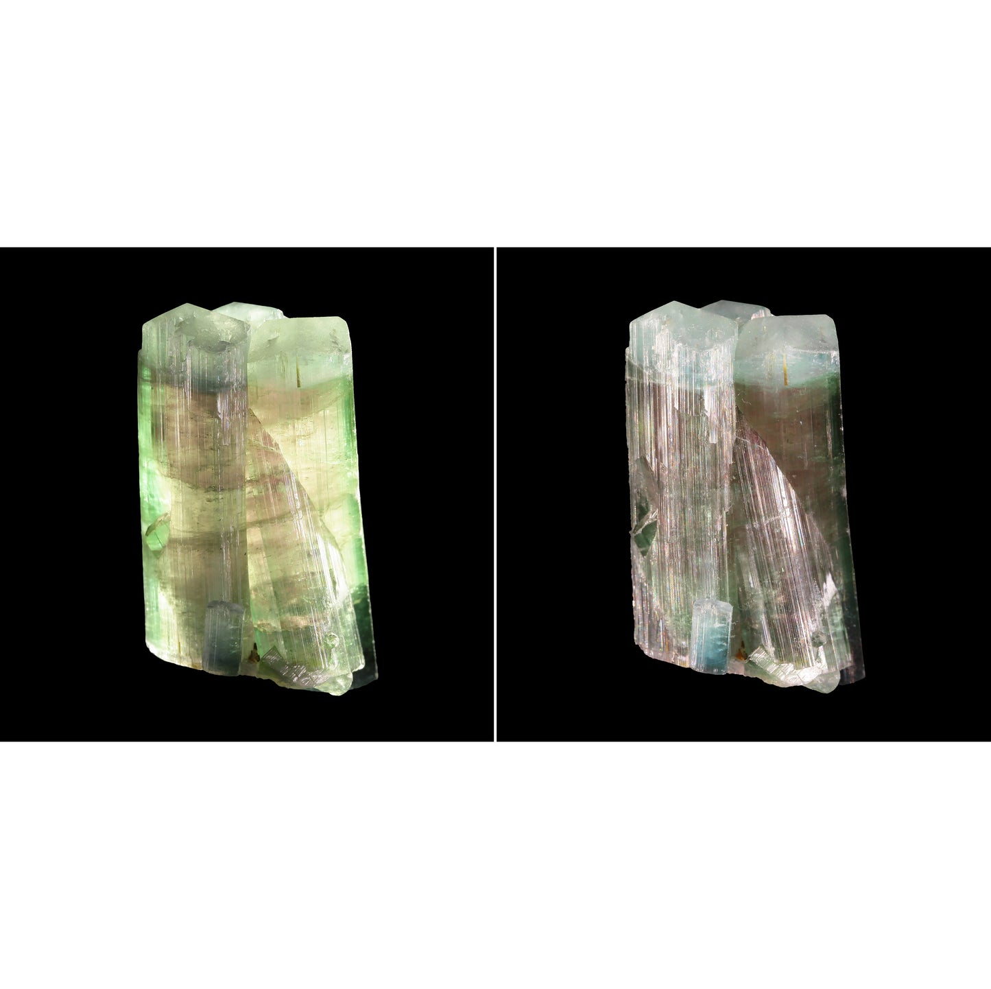 Tourmaline
(multi-color, multi-terminated crystal group)